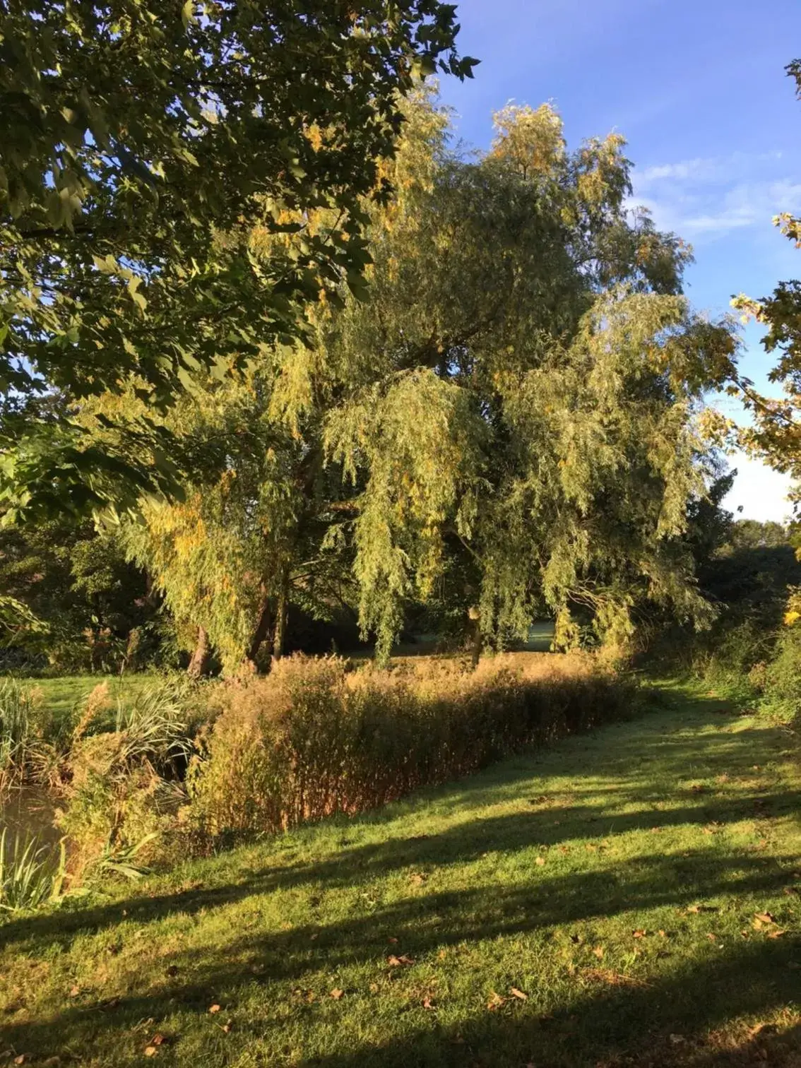 Garden view, Garden in Sturmer Hall Hotel and Conference Centre