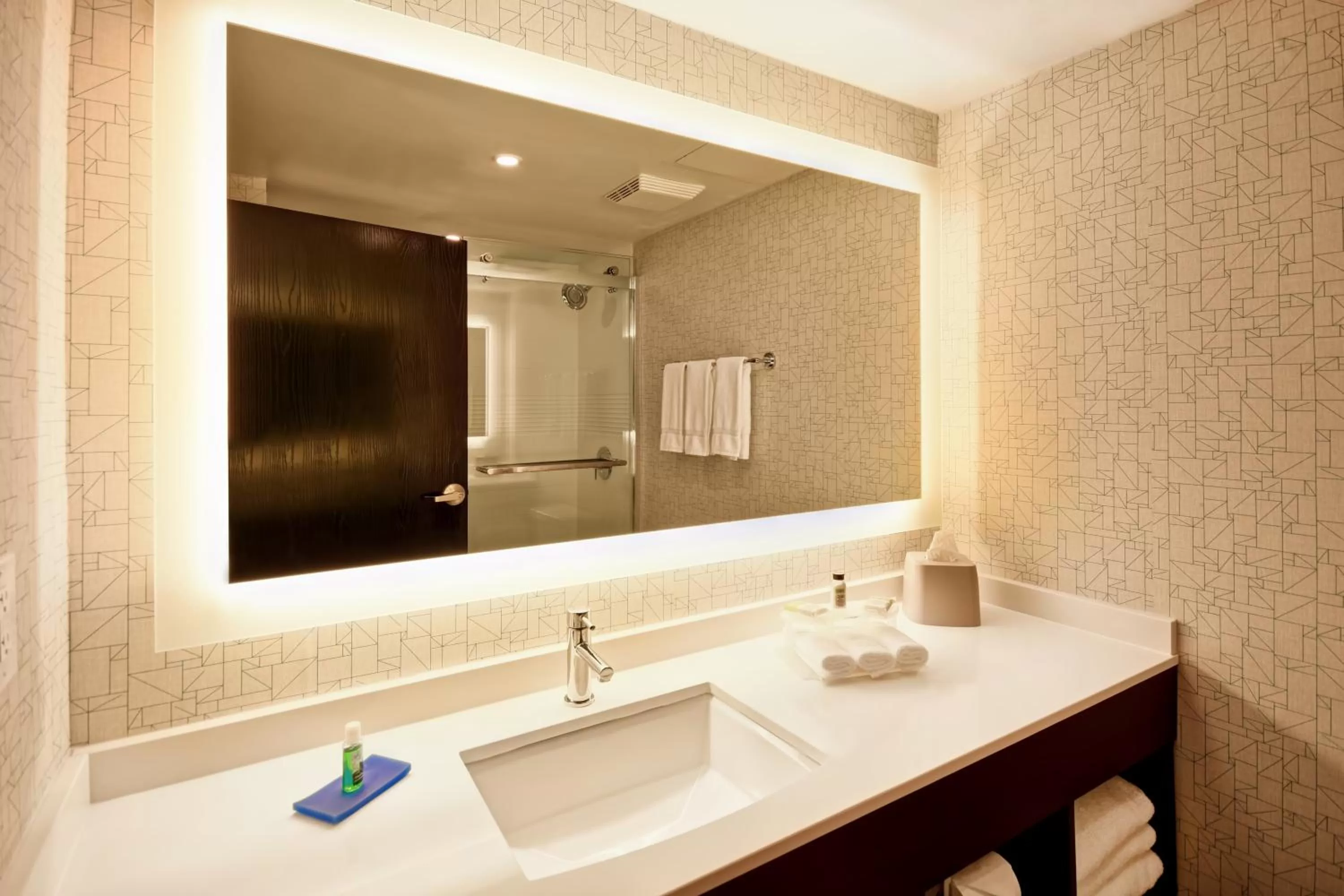 Bathroom in Holiday Inn Express & Suites Allentown-Dorney Park Area by IHG