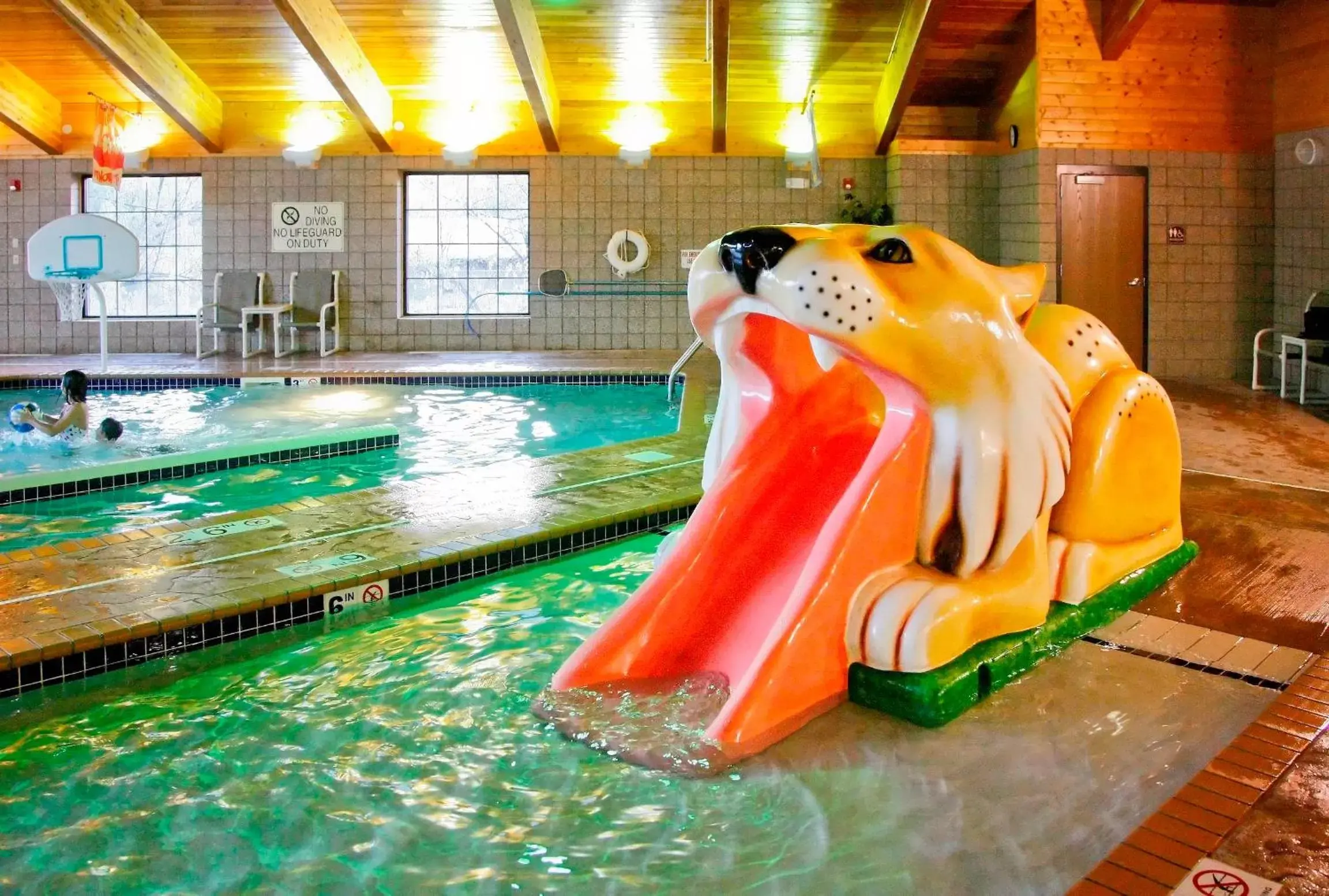 Swimming pool, Water Park in Hotel Glenwood Springs