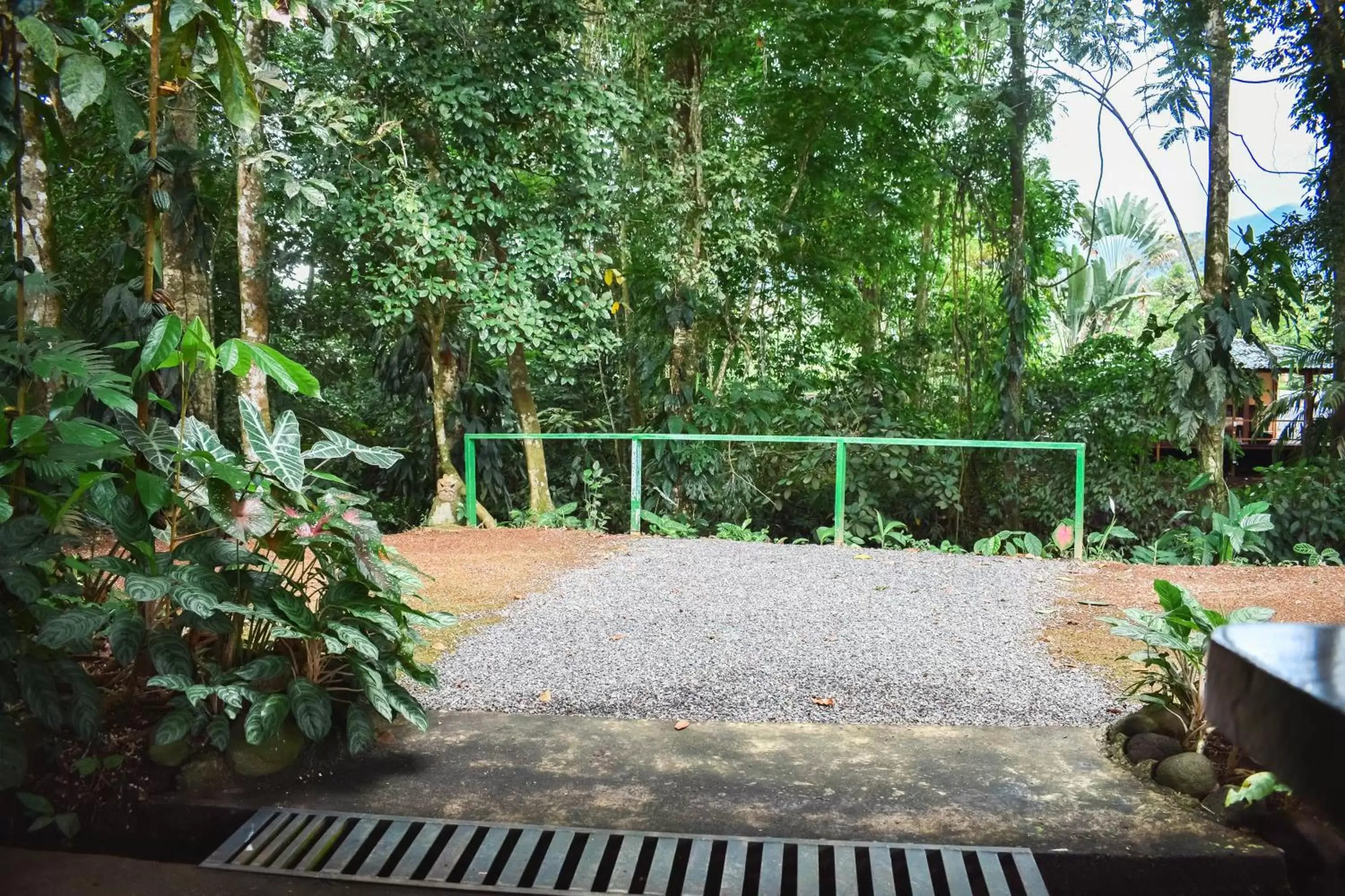 Natural landscape in Arenal Descanso