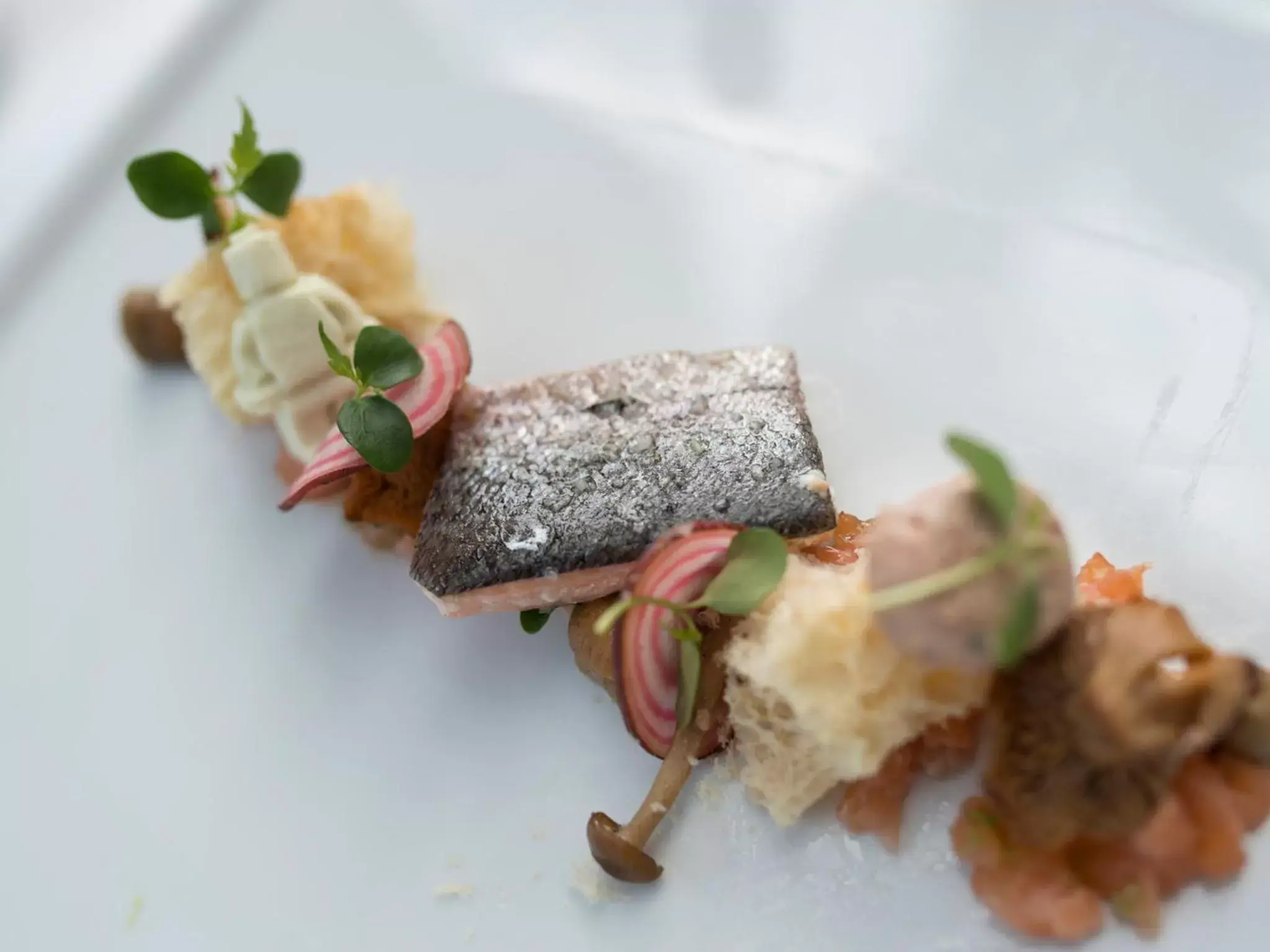 Design-Konferenzhotel & Restaurant Steinernes Schweinchen Design-Konferenzhotel & Restaurant Steinernes Schweinchen