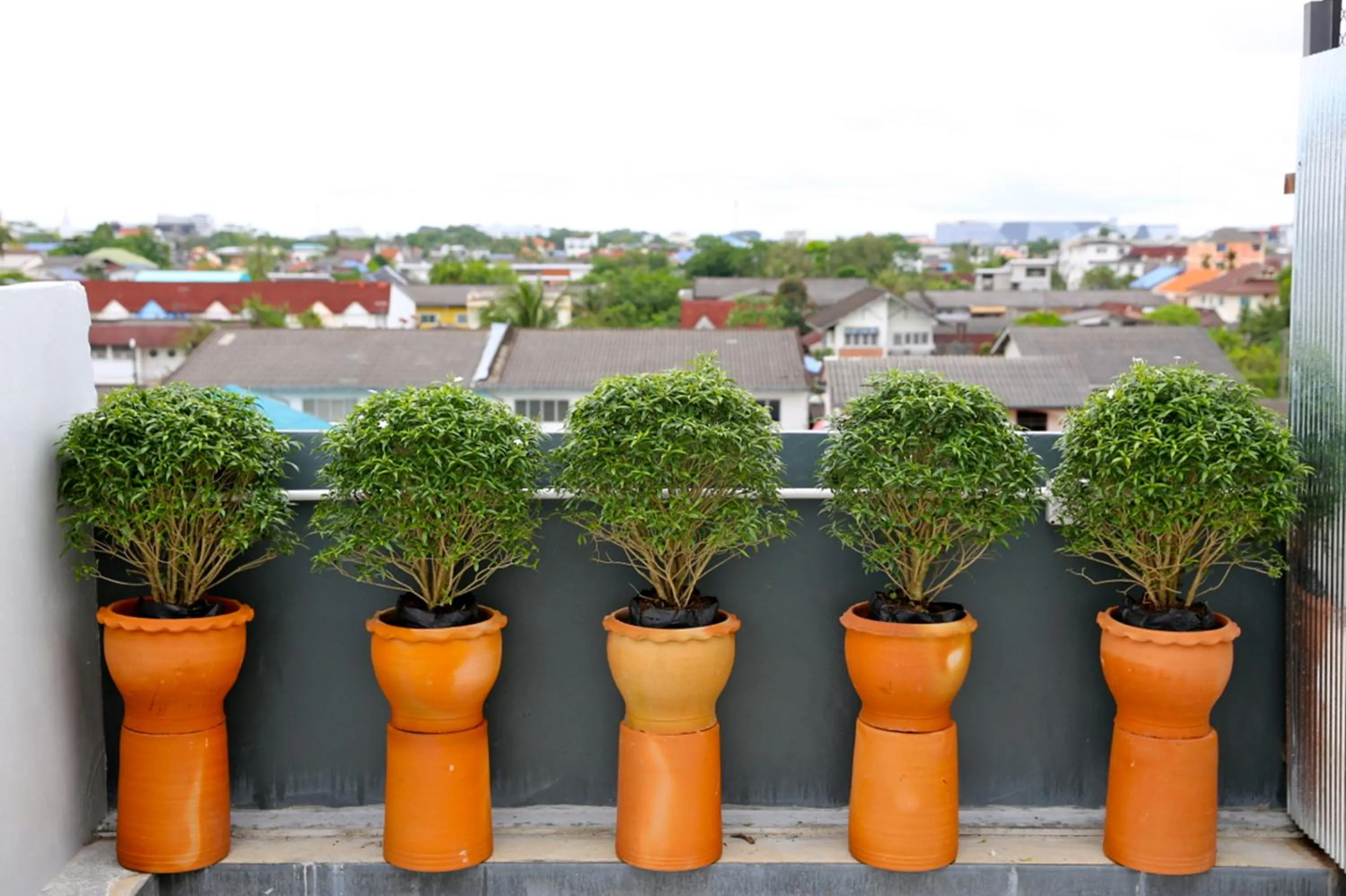 Other in The Plug Hotel