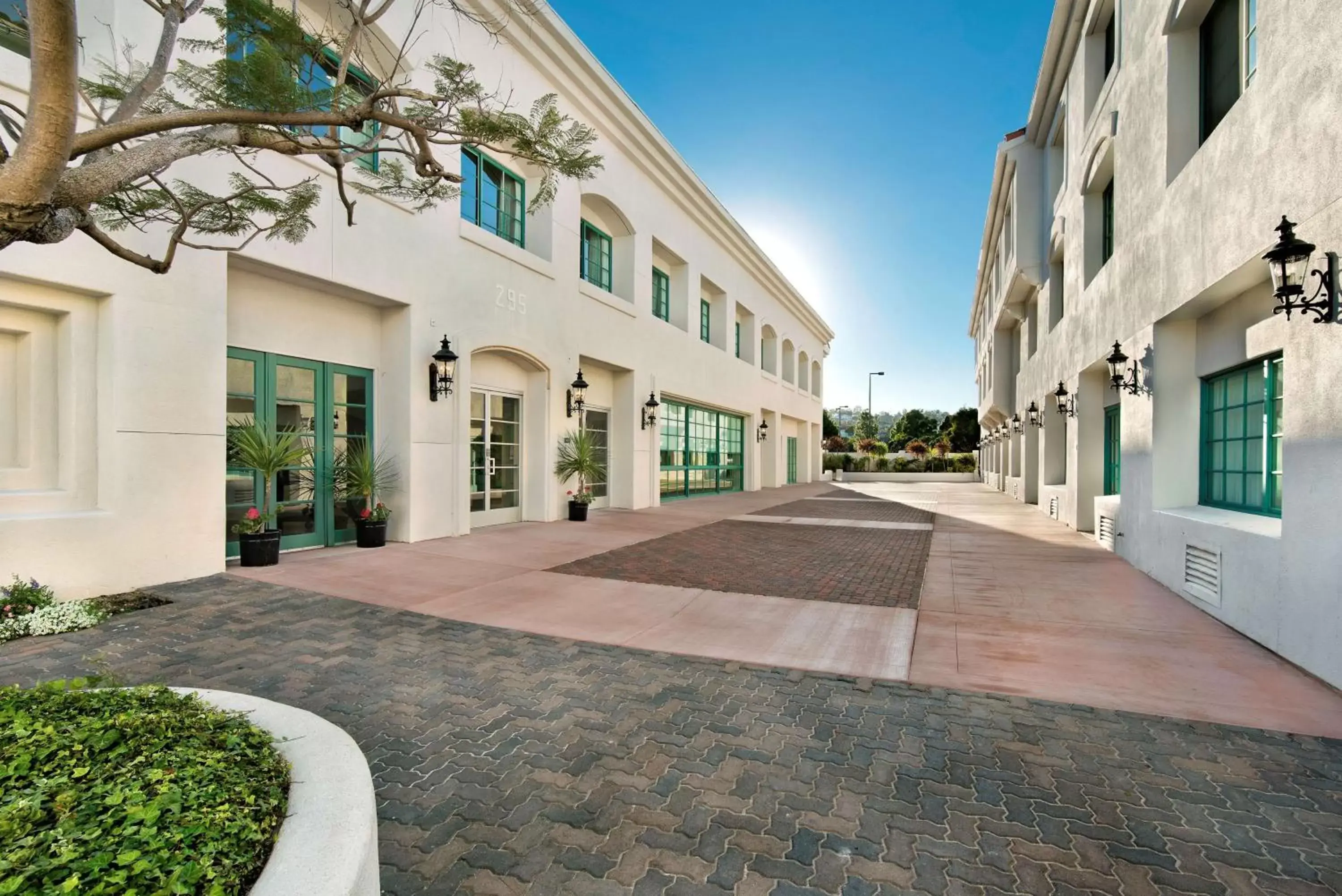 Meeting/conference room, Property Building in DoubleTree by Hilton San Pedro