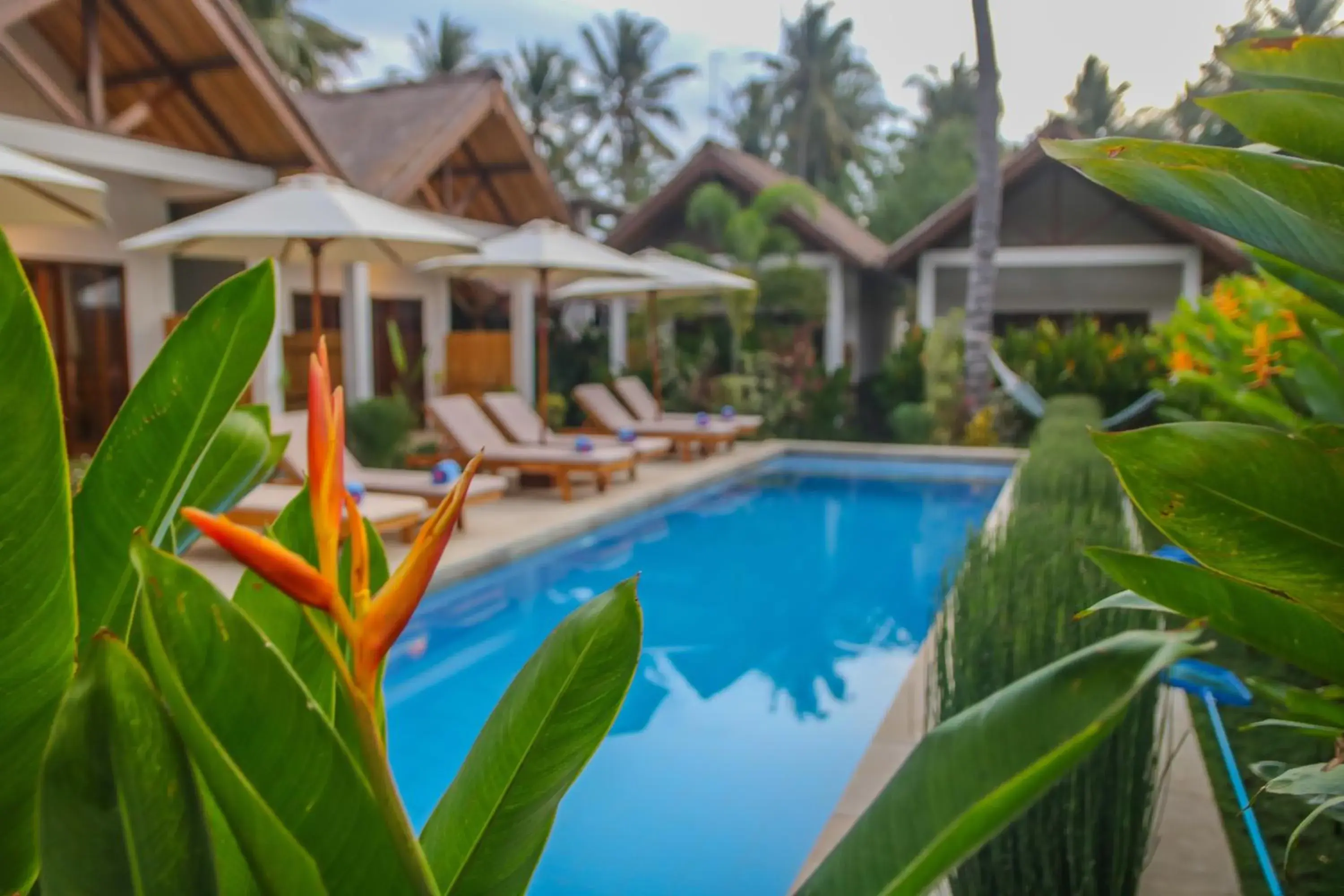 Pool view, Swimming Pool in Cozy Cottages Lombok