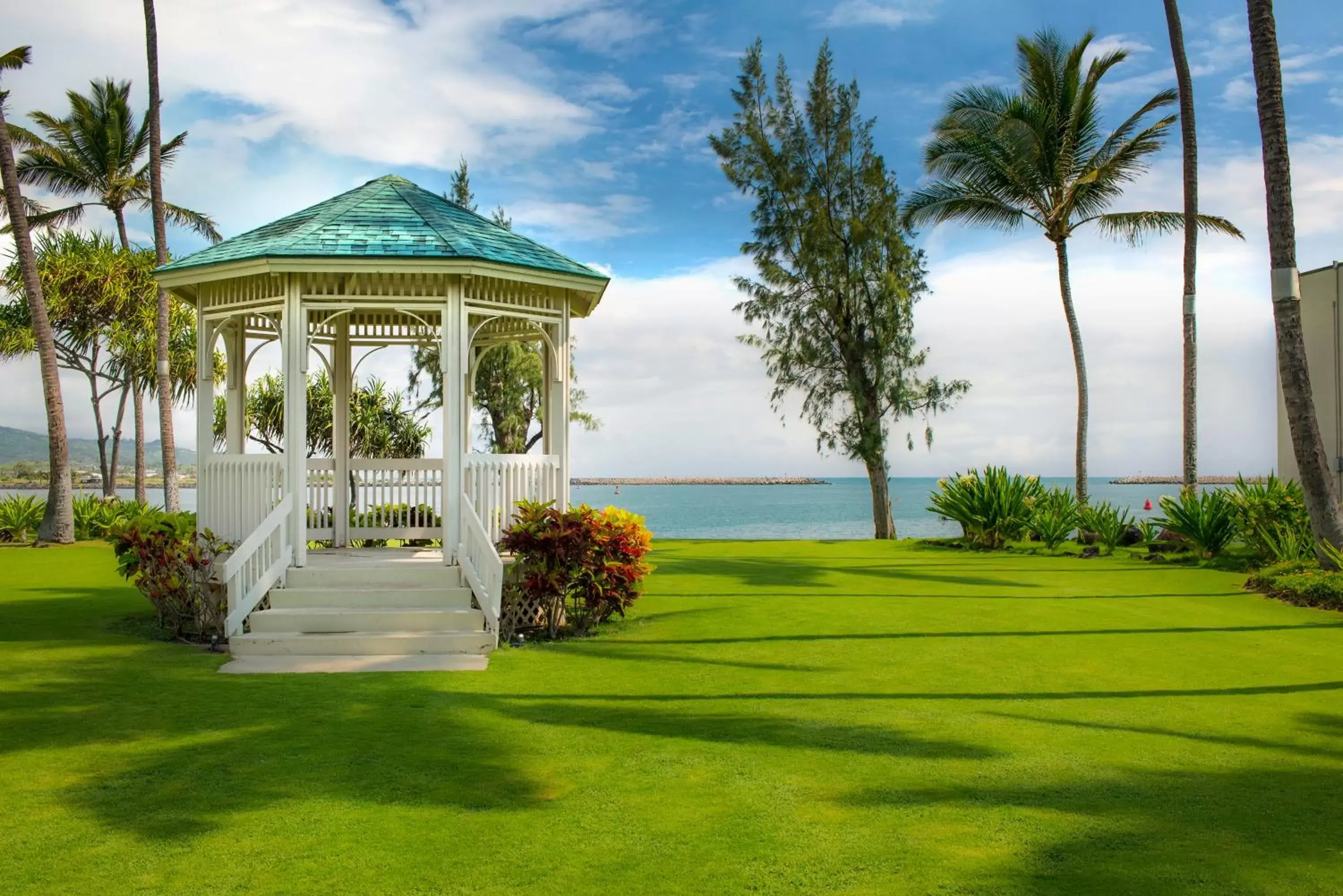Natural landscape, Garden in Maui Beach Hotel