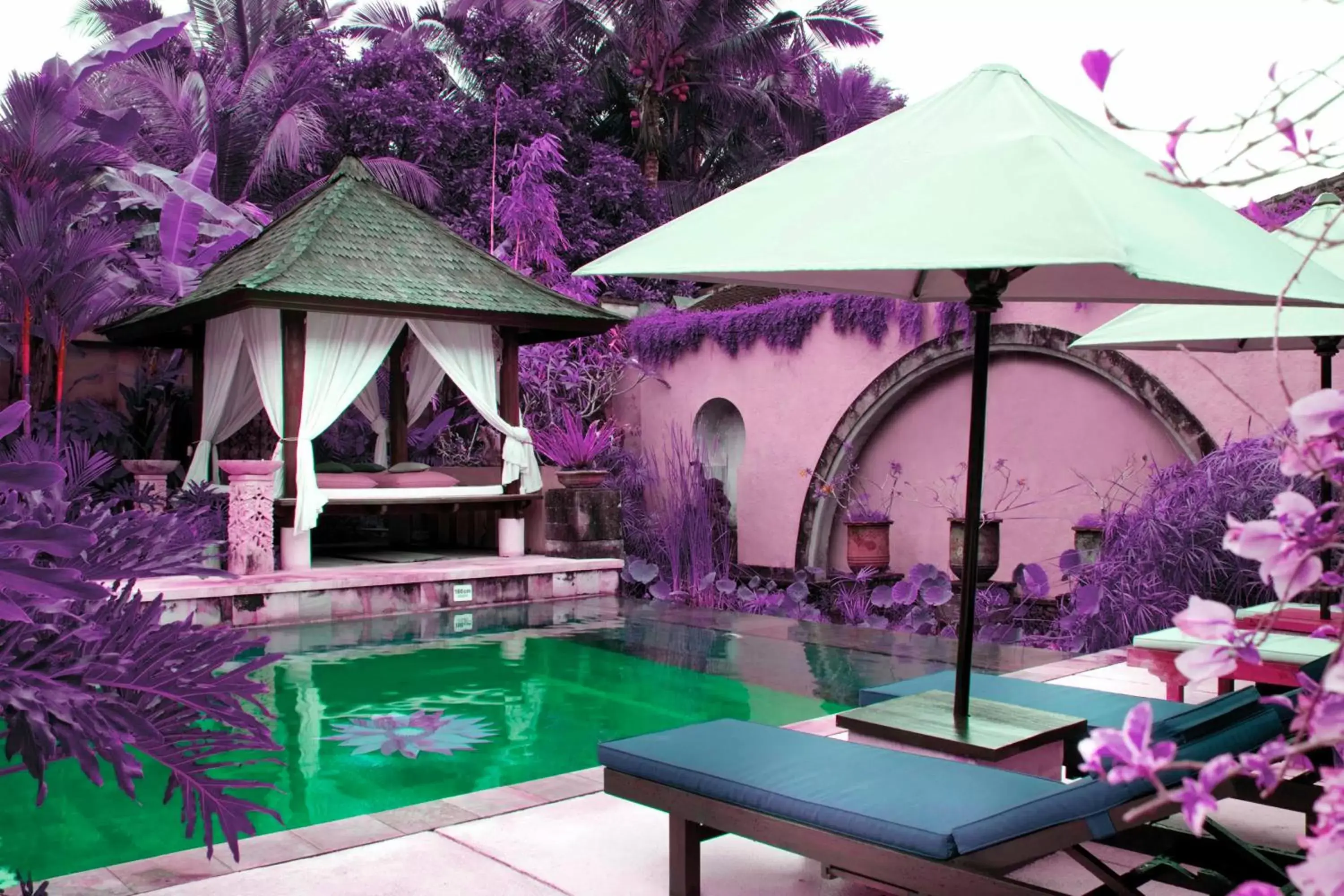 Swimming Pool in Bebek Tepi Sawah Restaurant & Villas