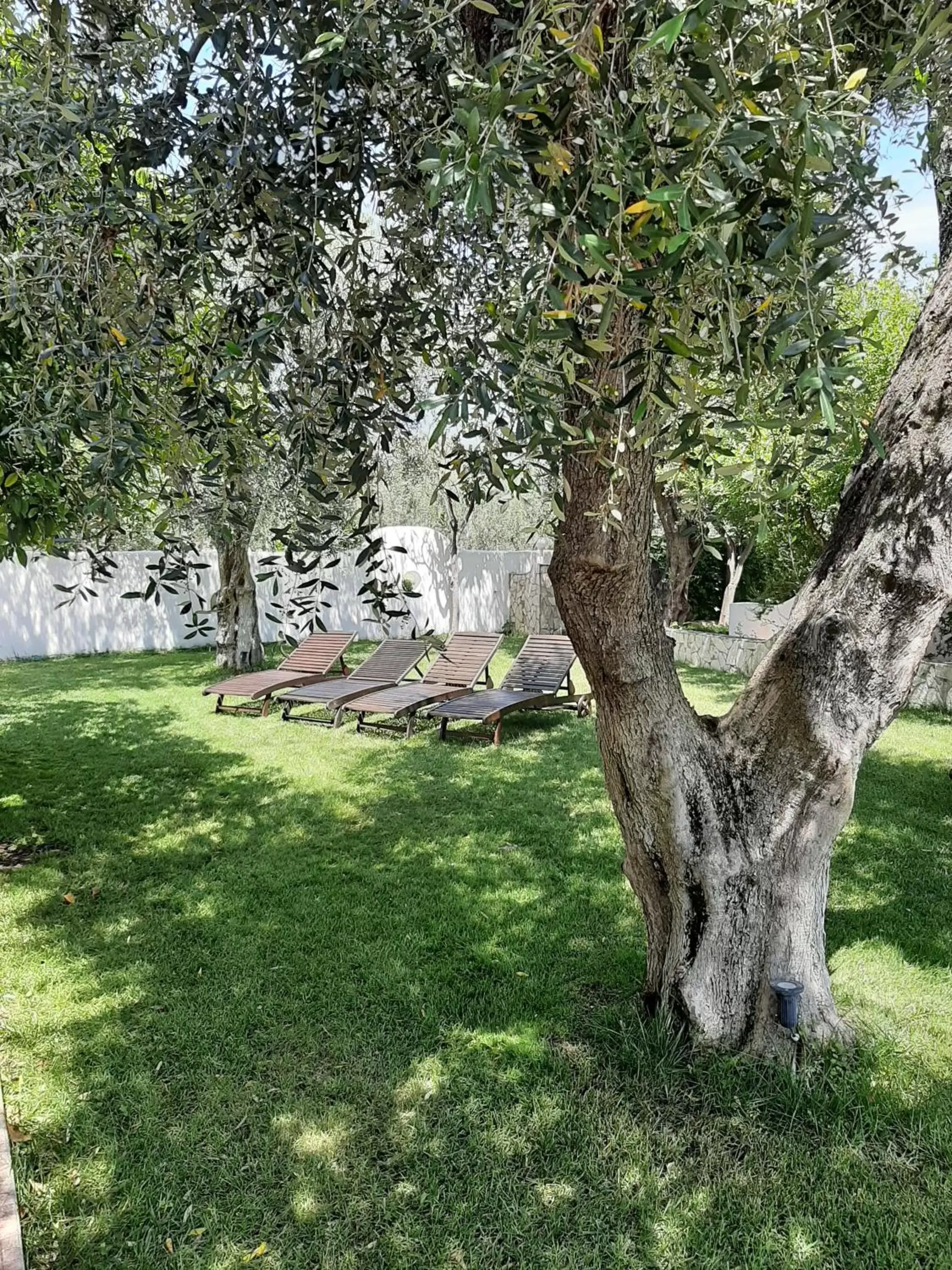 Patio, Garden in Hotel Il Melograno