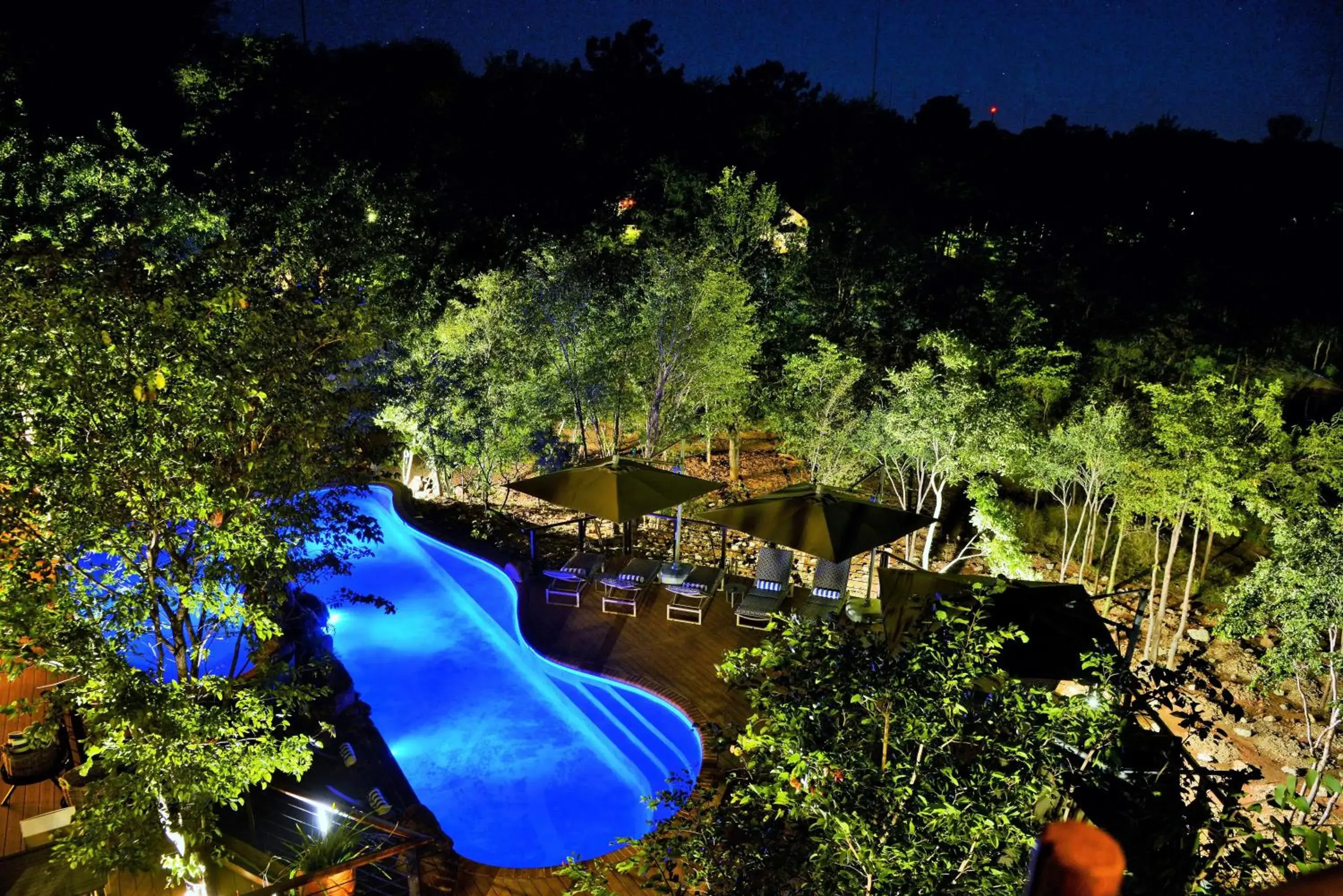 Night, Pool View in Victoria Falls Safari Club