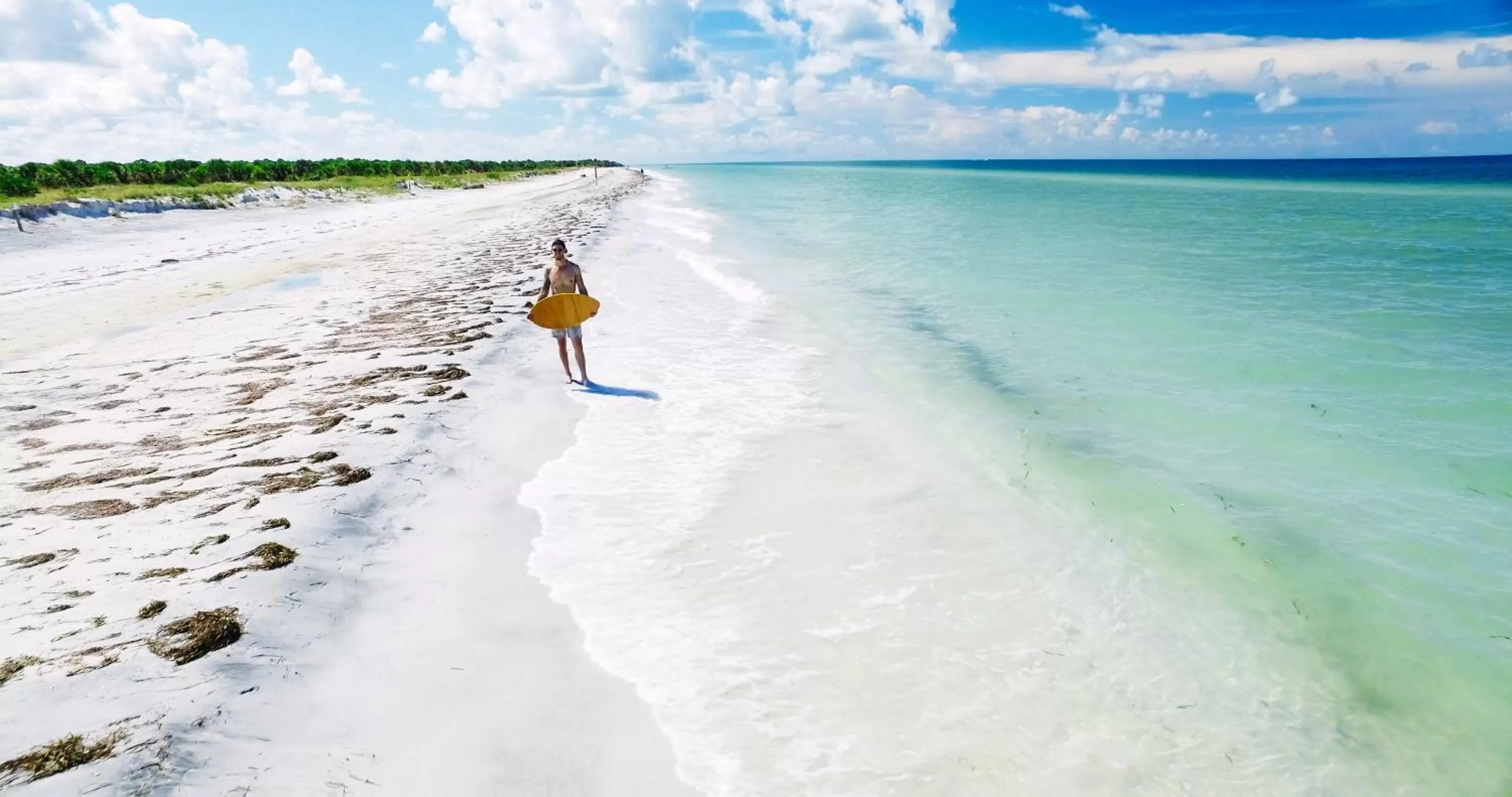 Nearby landmark in Holiday Inn Express Hotel & Suites Tampa-Oldsmar by IHG