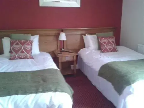 Standard Twin Room in The King's Arms