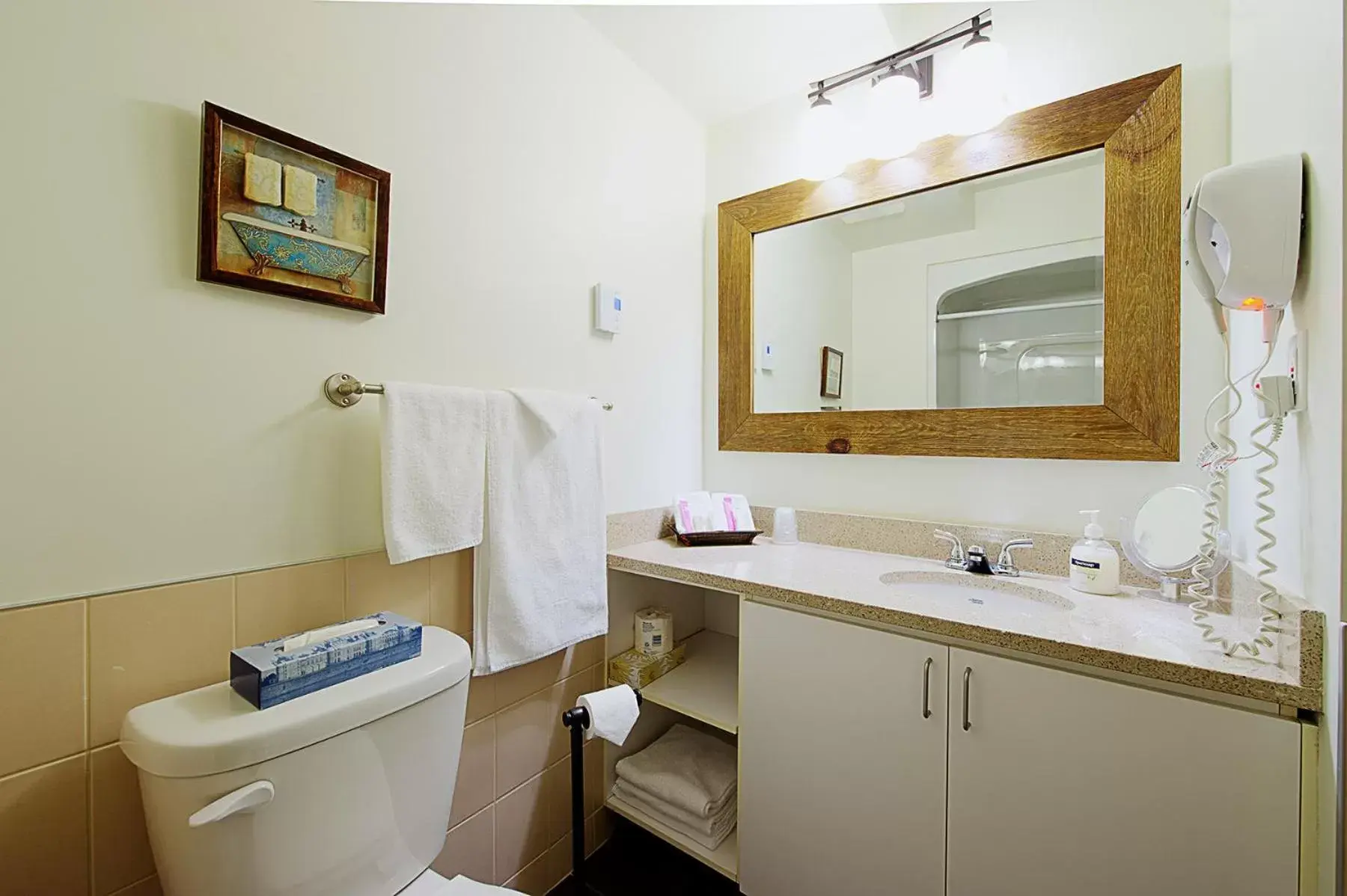 Bathroom in Hotel Vacances Tremblant
