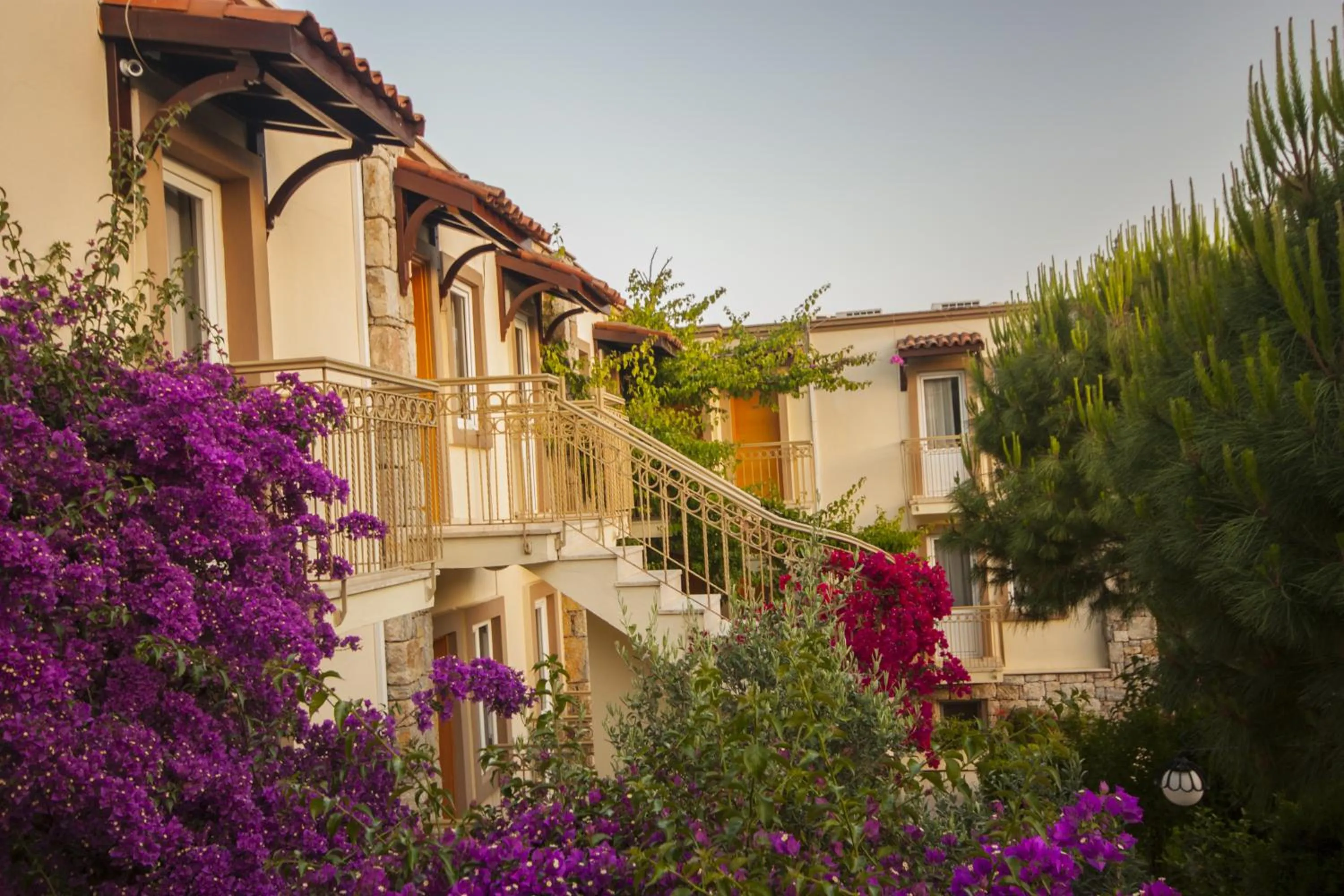 Garden in Moonshine Hotel & Suites