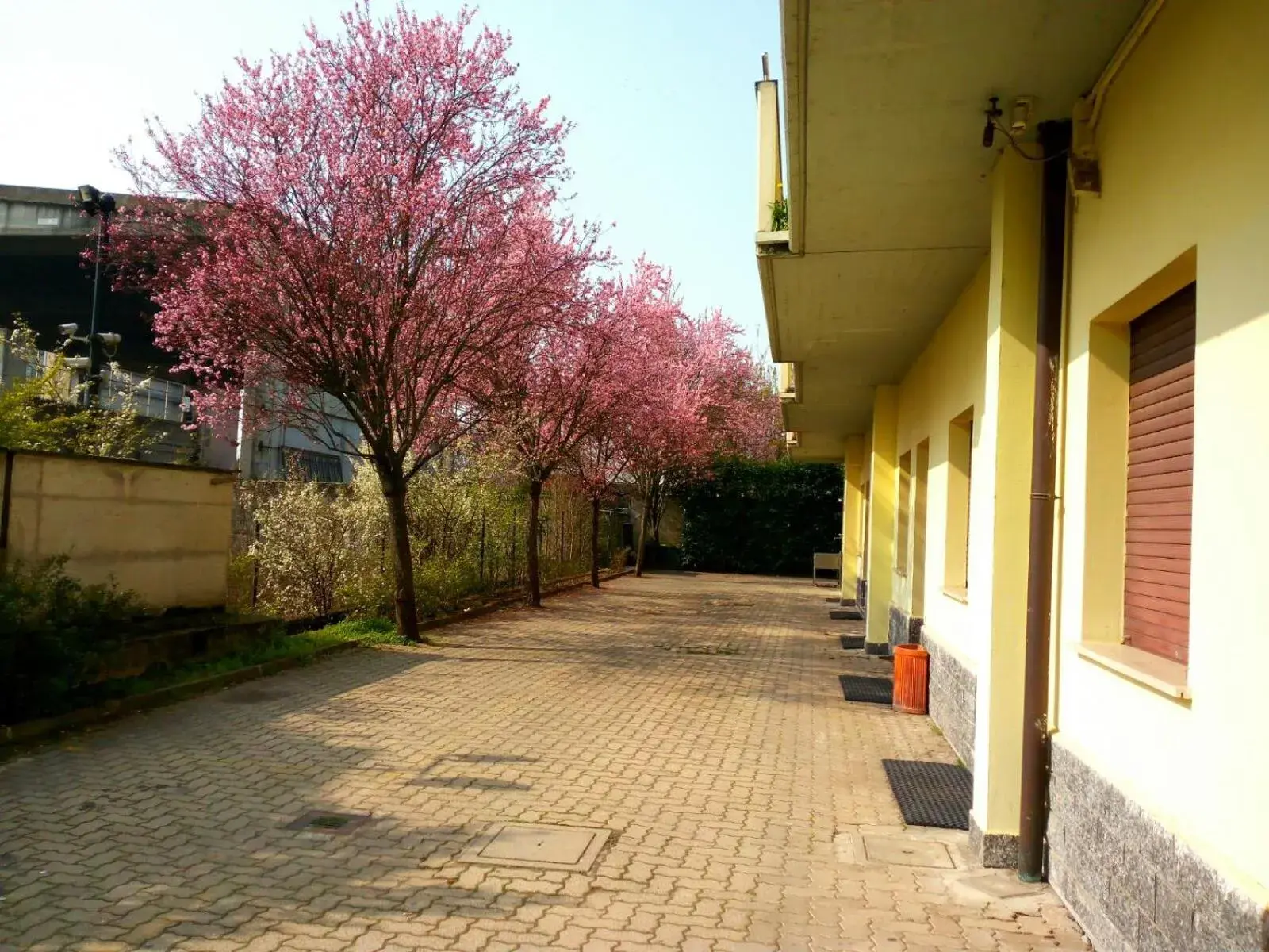 View (from property/room) in Nuovo Hotel Vigevano