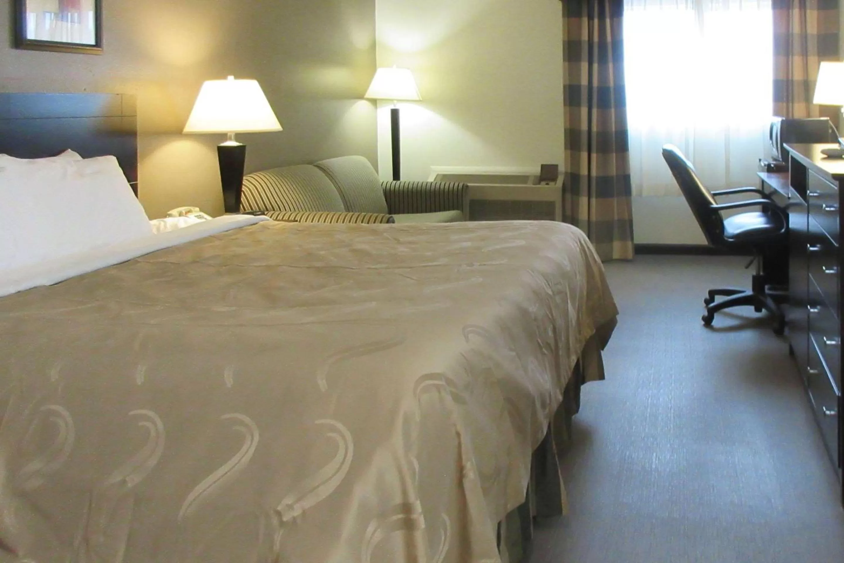 Photo of the whole room, Bed in Quality Inn Longmont