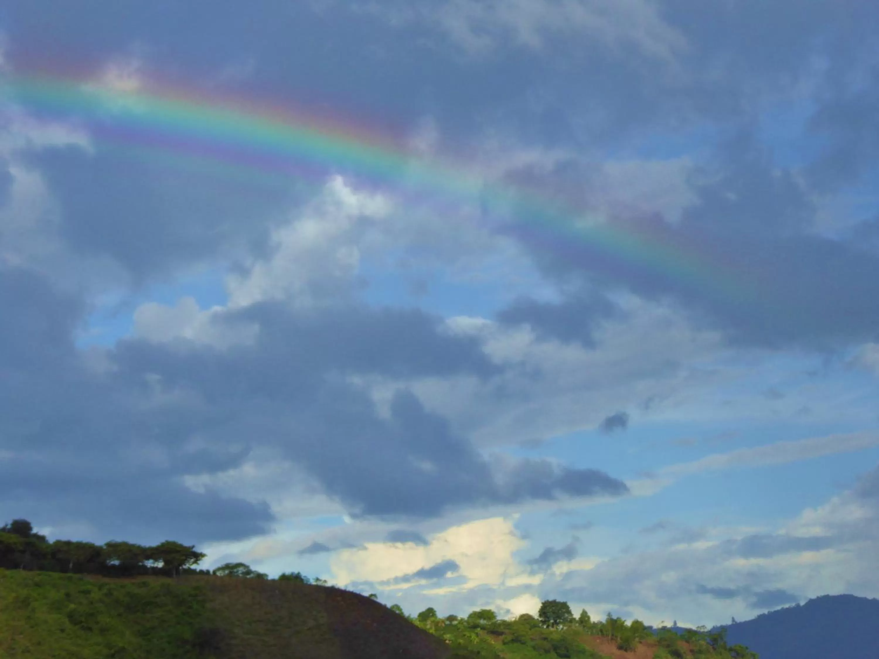 Natural landscape in Finca El Cielo