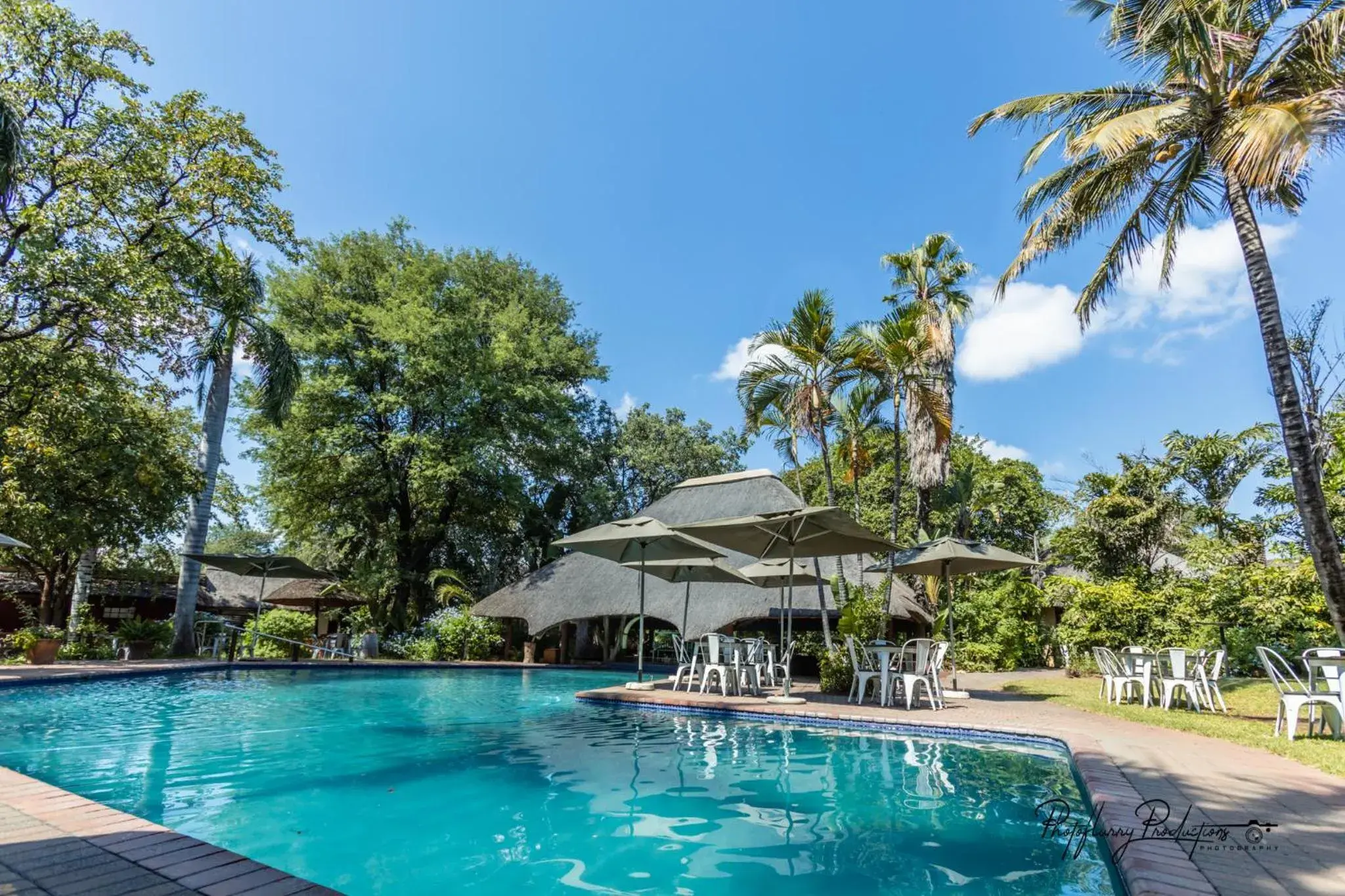 Swimming Pool in Sefapane Lodge and Safaris