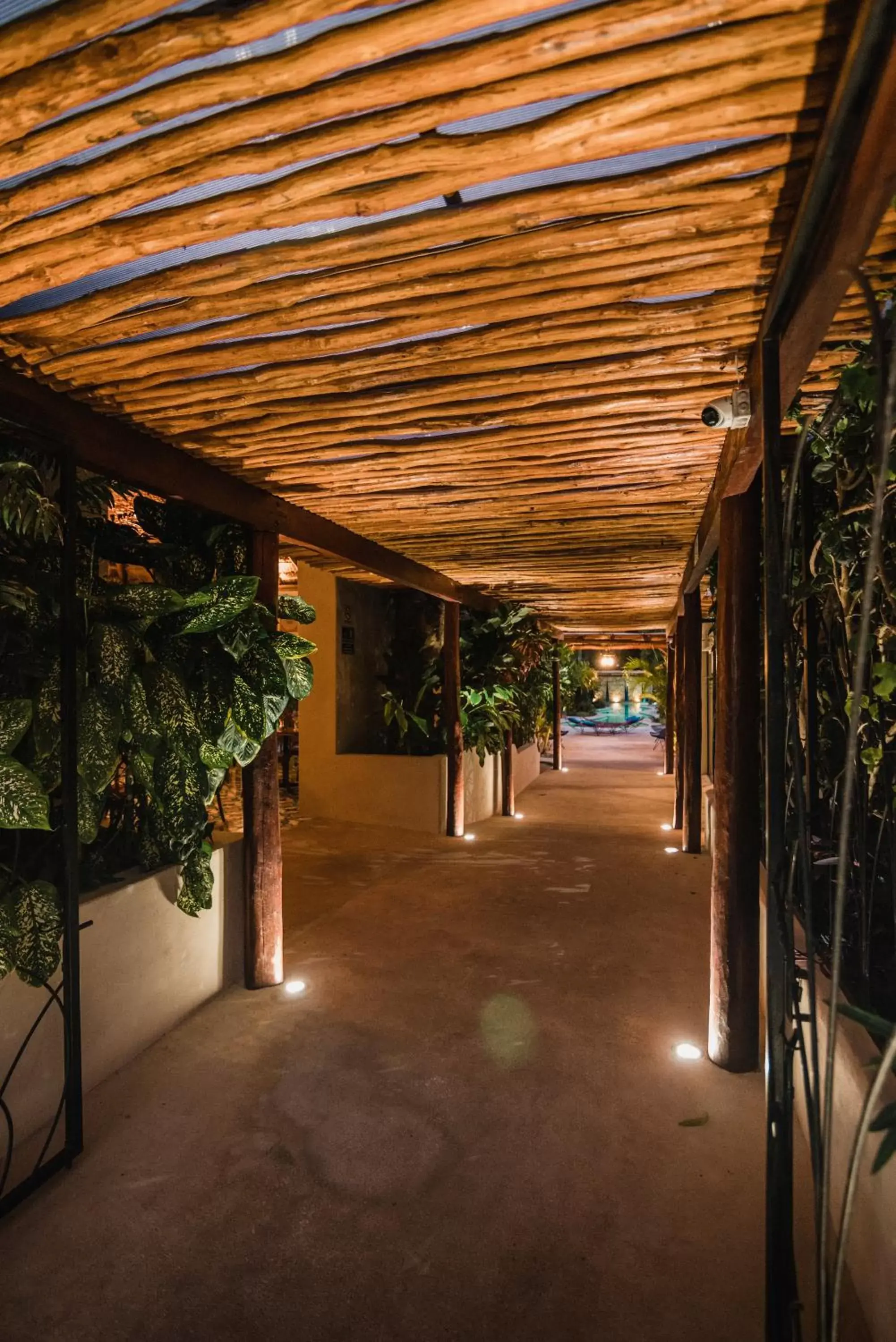 Lobby or reception in Blue Palm Bacalar