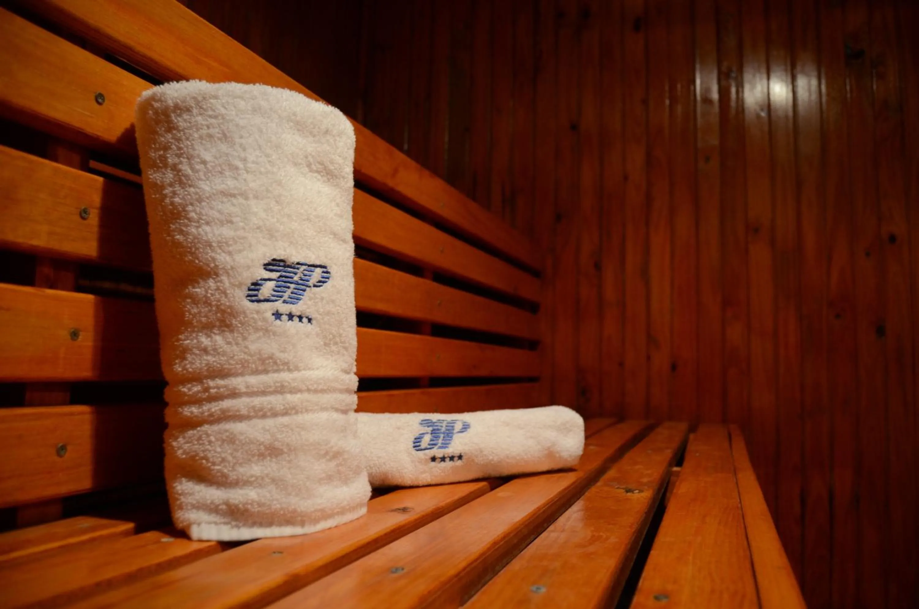 Property logo or sign in Gran Hotel Presidente