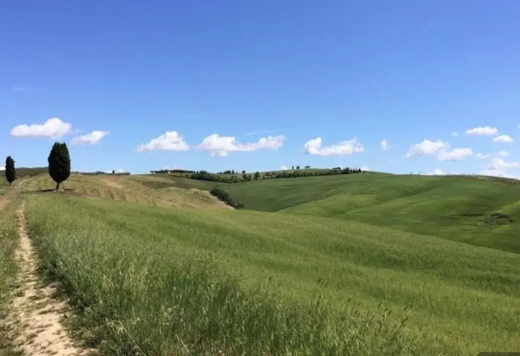 Natural Landscape in Cordella In Valdorcia Truffle and Olive Oil Resort