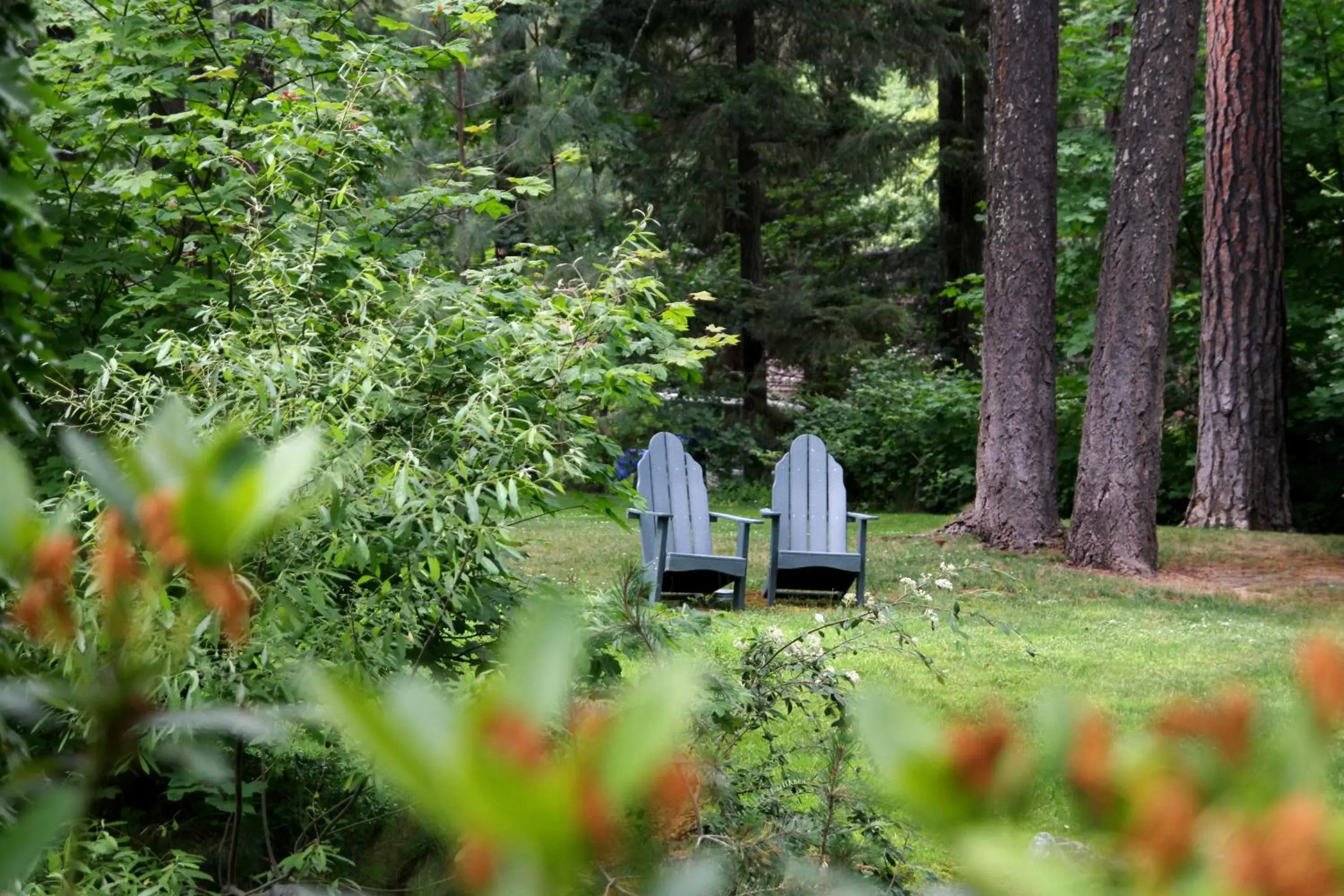 Garden in Weasku Inn