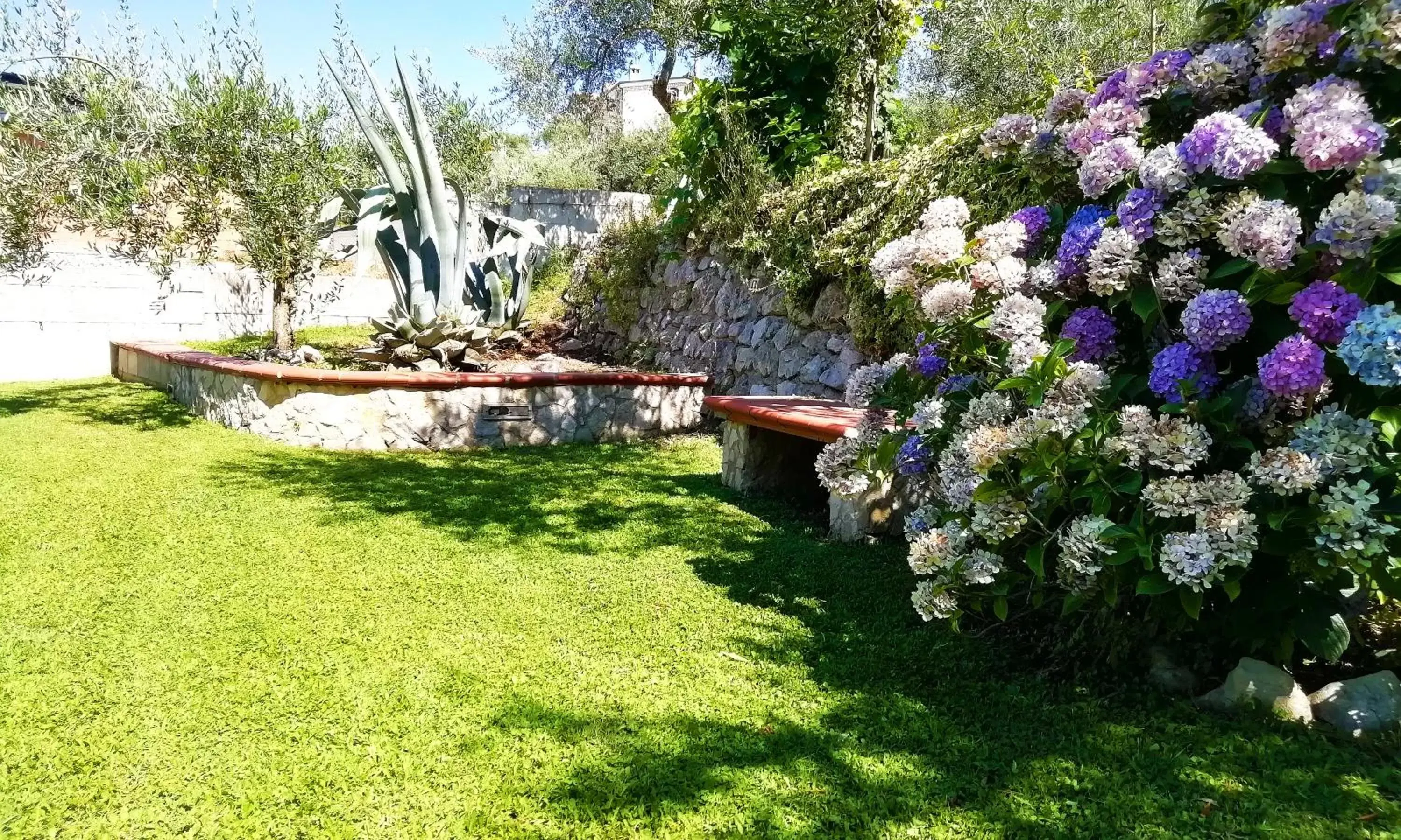 Garden in B&B Maison Villa Vittorio