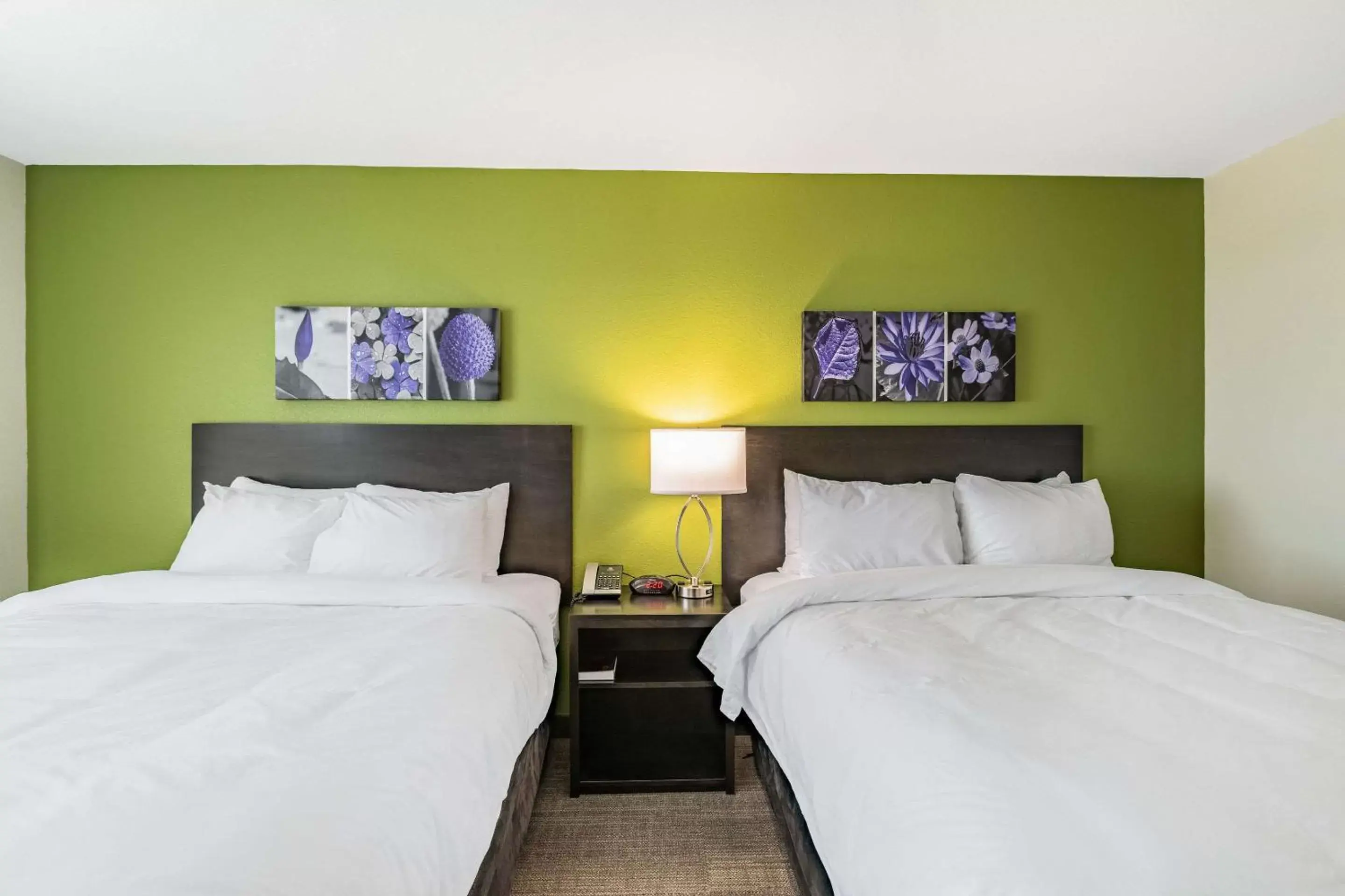 Photo of the whole room, Bed in Sleep Inn & Suites Mt Hope near Auction & Event Center Photo of the whole room, Bed in Sleep Inn & Suites Mt Hope near Auction & Event Center