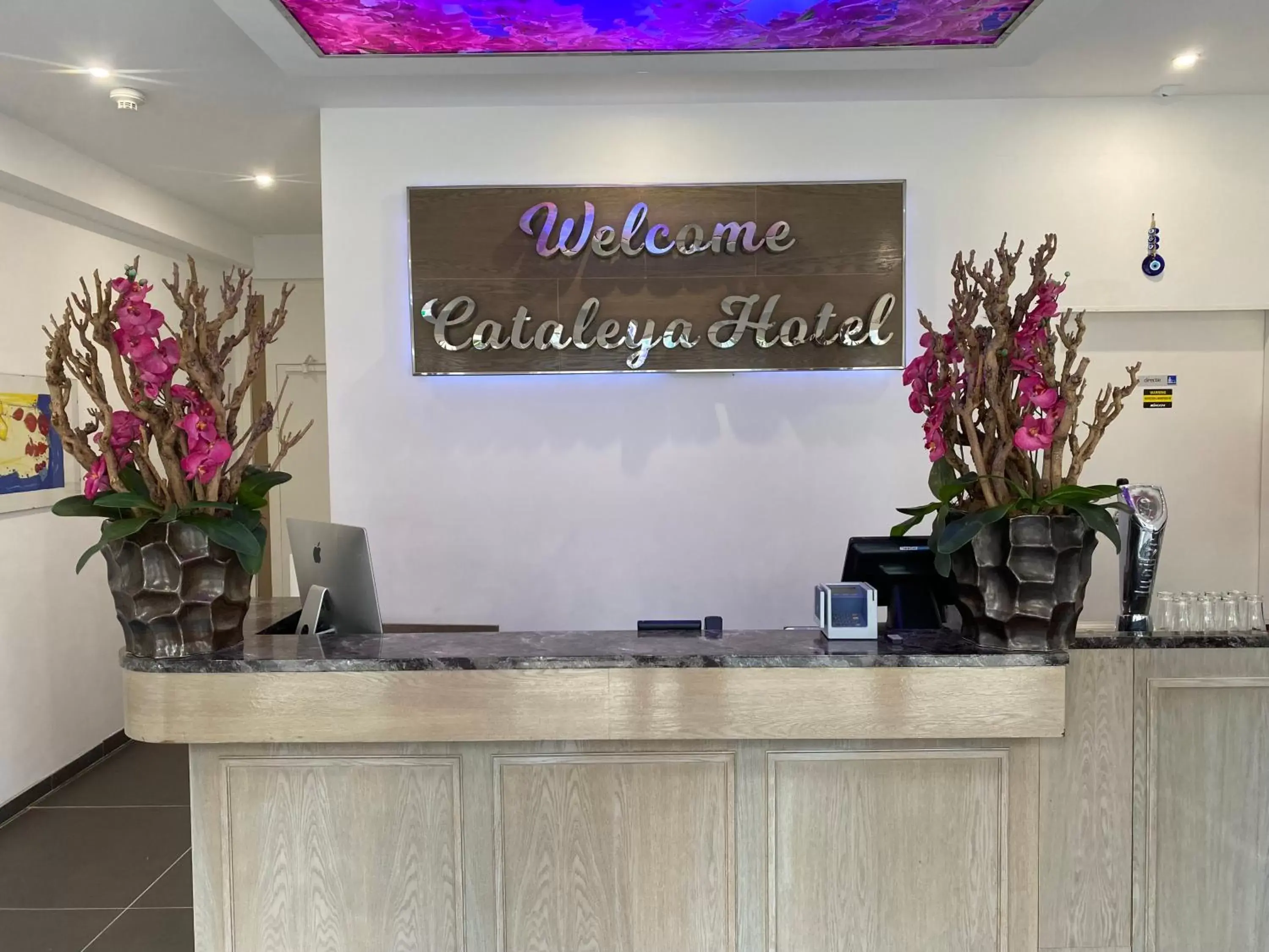 Lobby or reception, Lobby/Reception in Hotel Cataleya