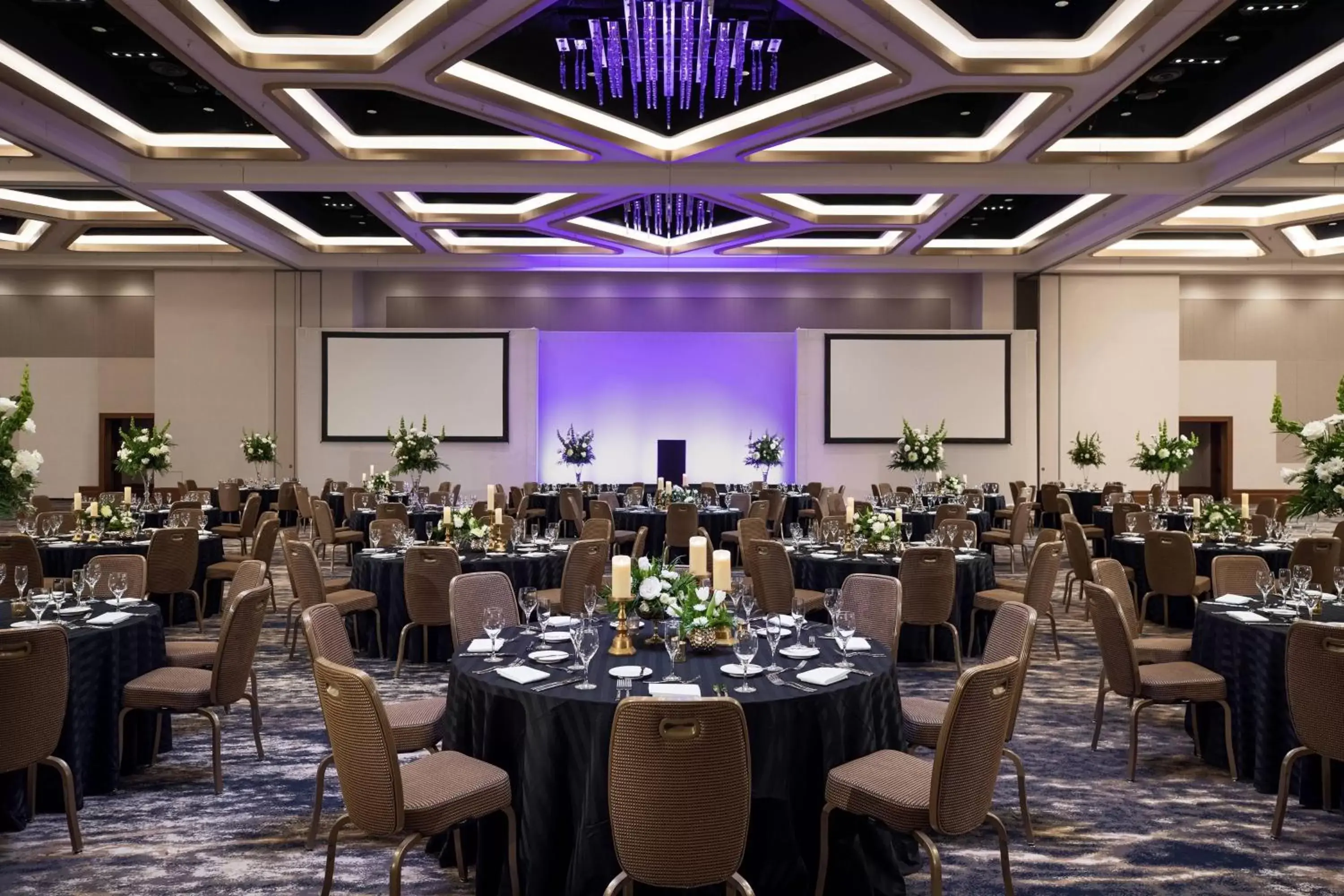 Banquet/Function facilities, Banquet Facilities in Renaissance Orlando at SeaWorld®