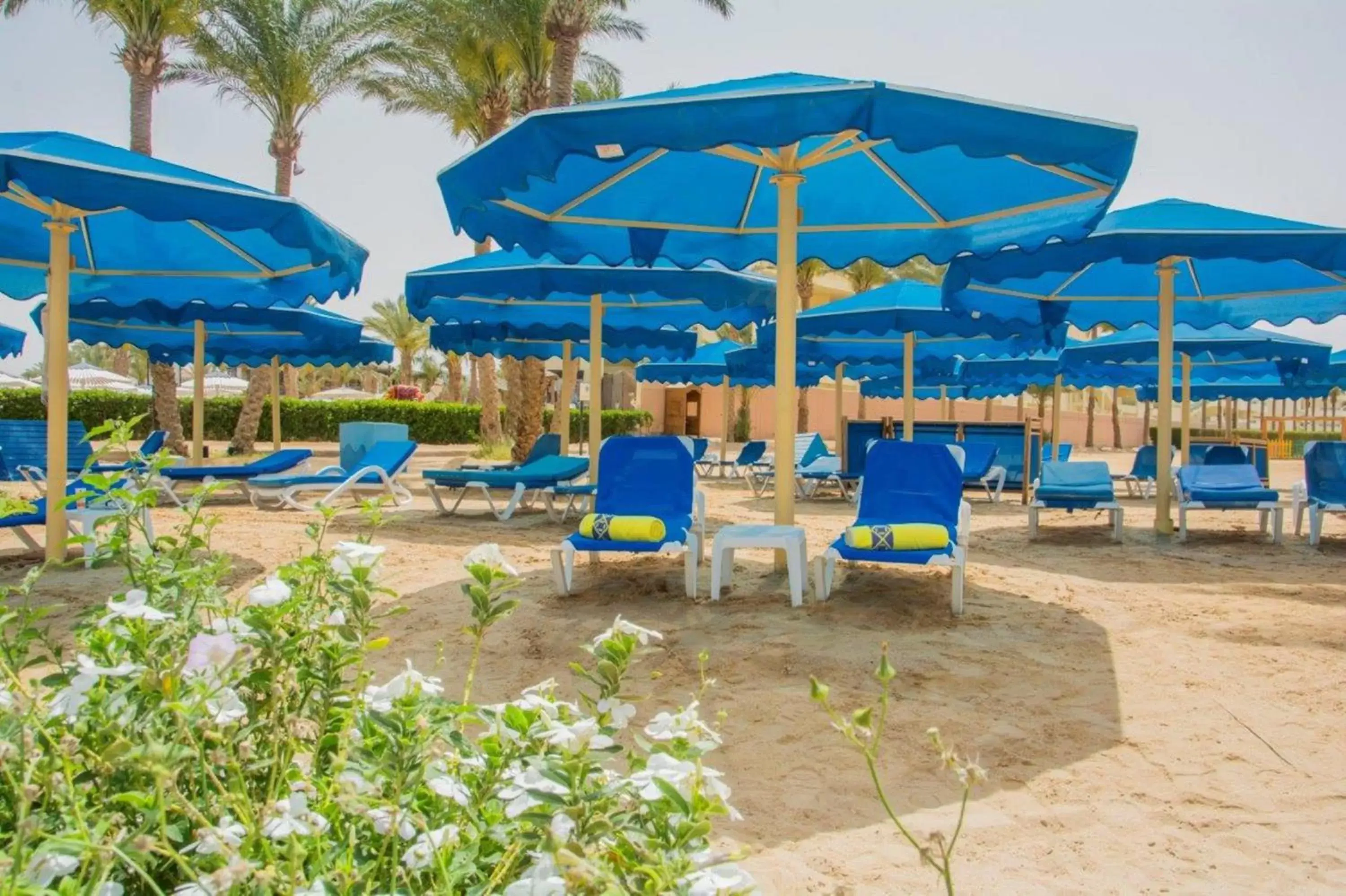 Beach in Continental Hotel Hurghada