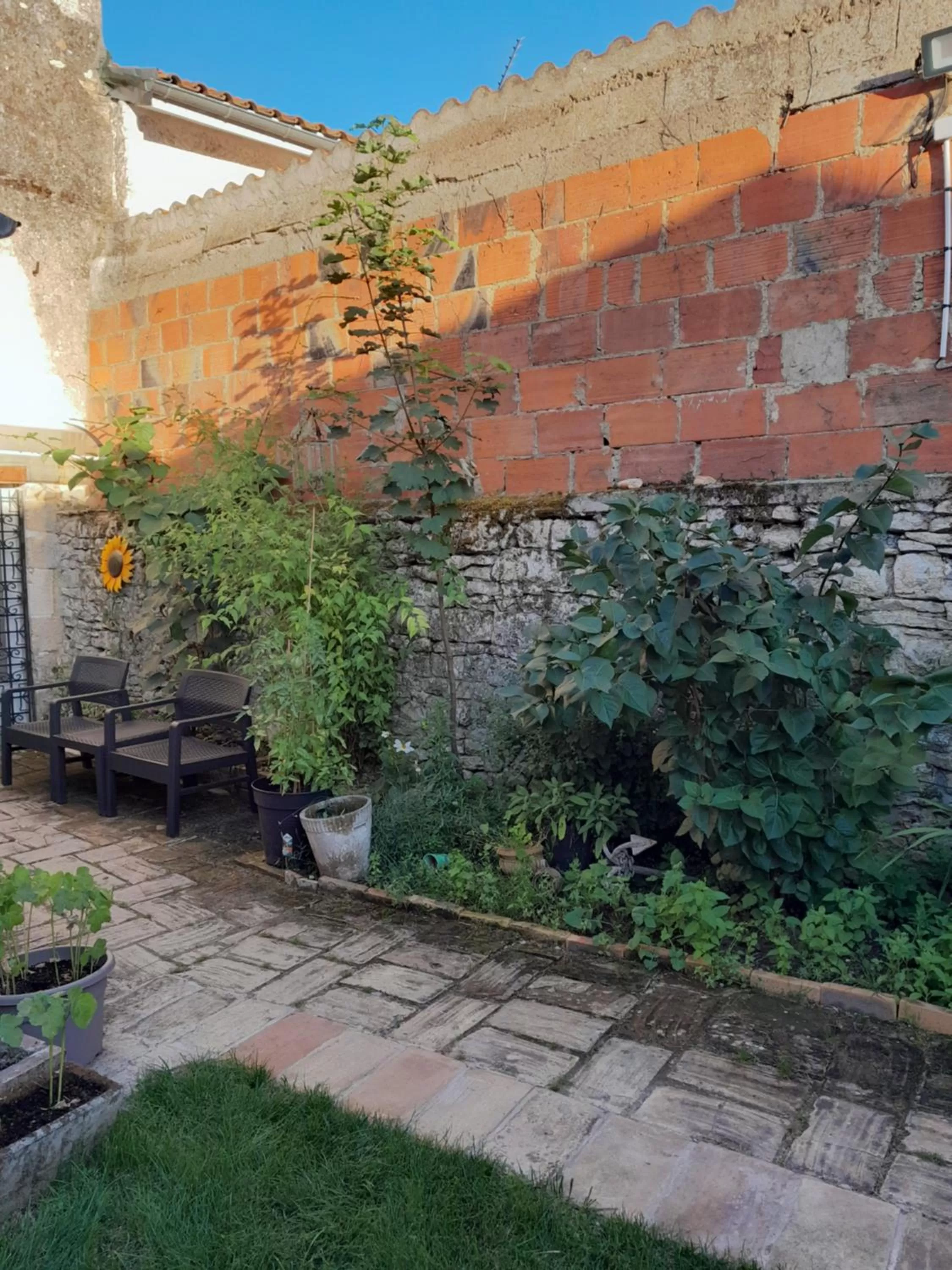 Garden in Le Perroquet Vert