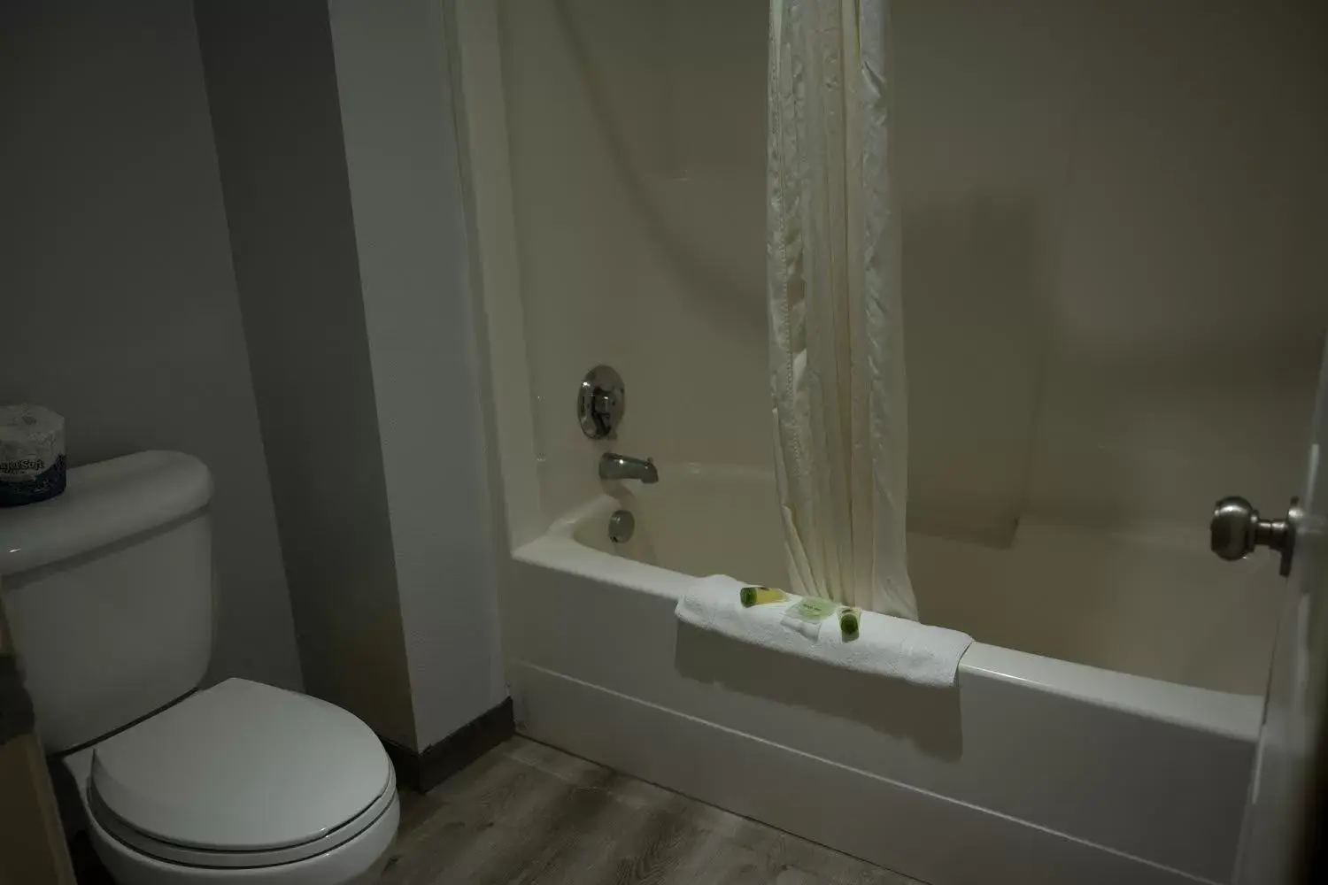 Shower, Bathroom in The Beaverhead Lodge