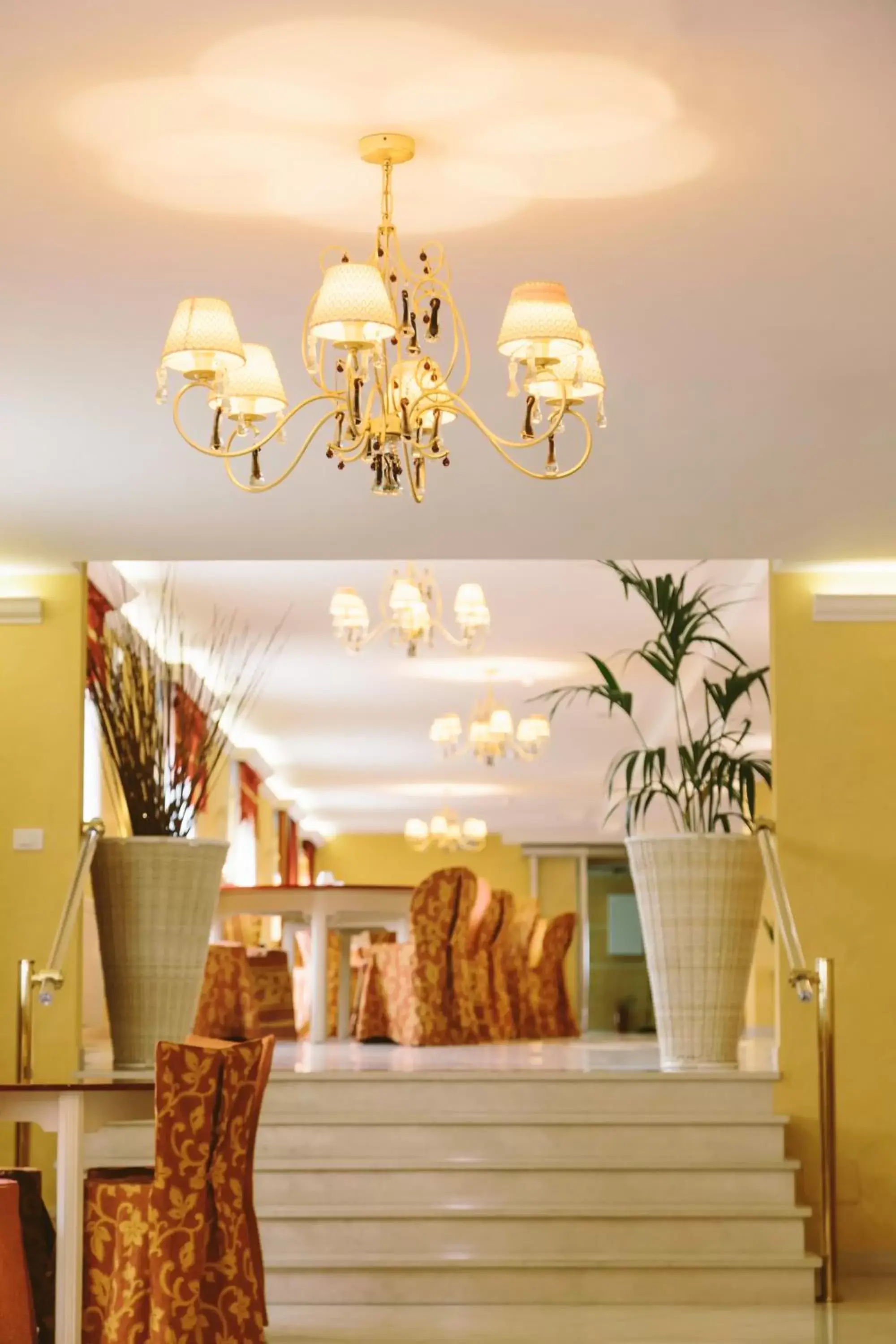 Restaurant/places to eat, Lobby/Reception in Hotel Residence Federiciano