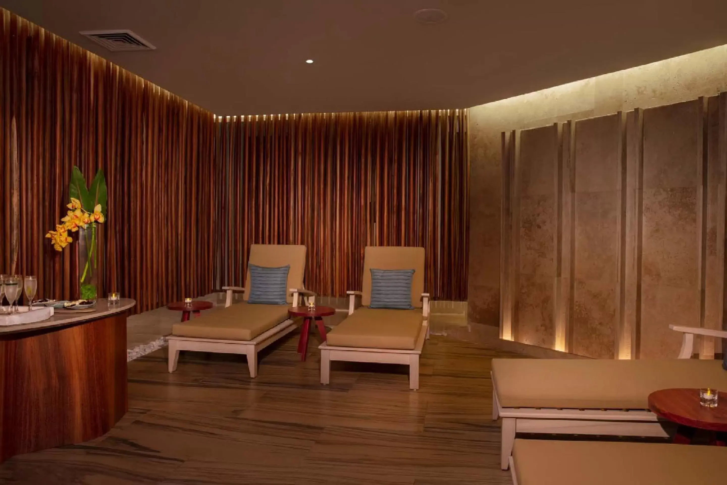 Spa and wellness centre/facilities, Seating Area in Dreams Aventuras Riviera Maya