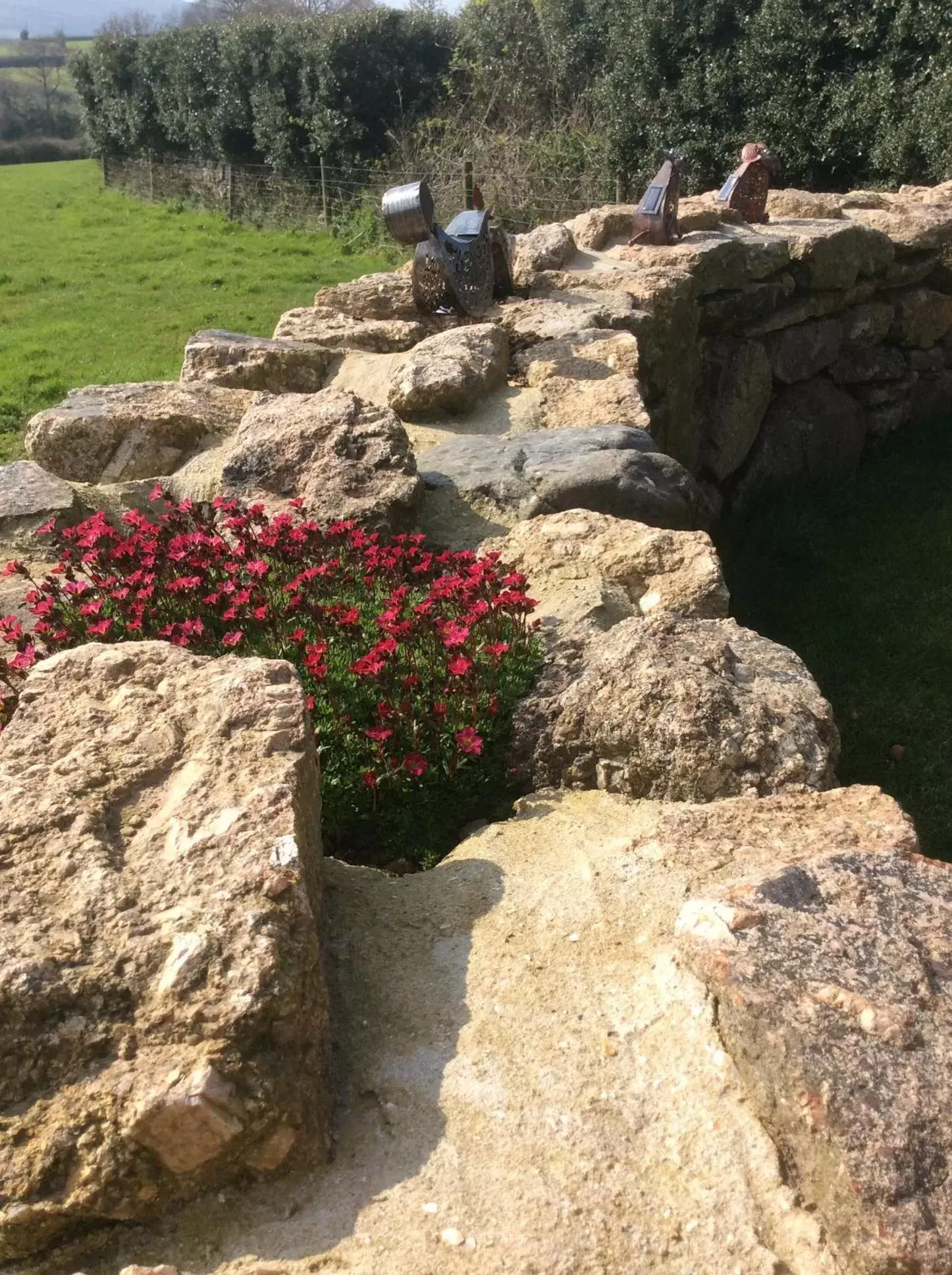 Natural Landscape in Gooseford Farm