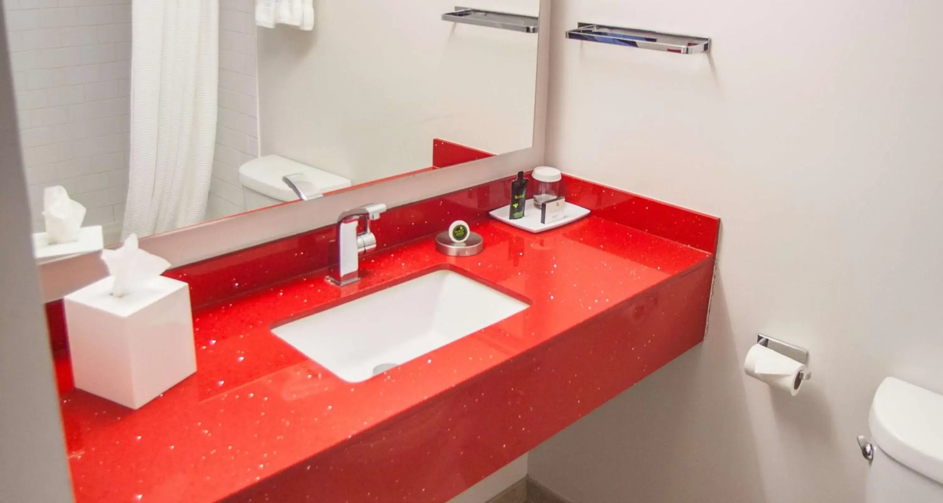 Bathroom in The Rushmore Hotel & Suites; BW Premier Collection