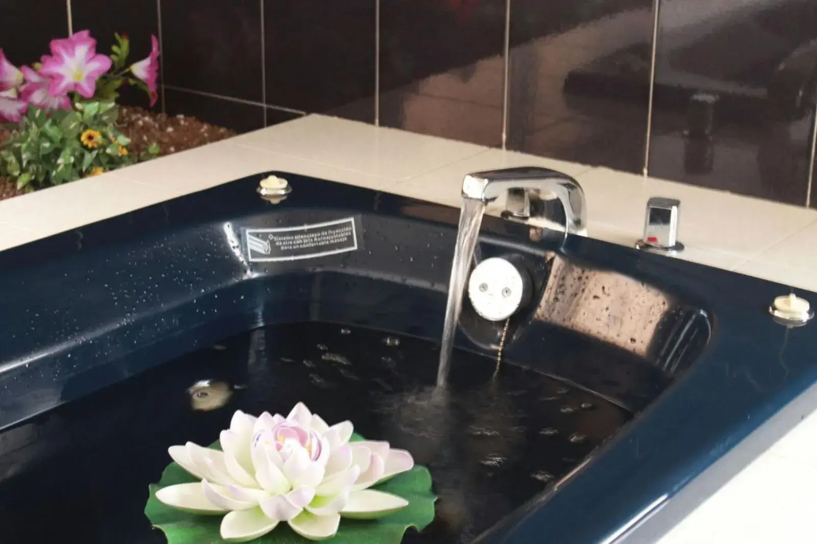 Area and facilities, Bathroom in Hotel Finca Las Hortensias