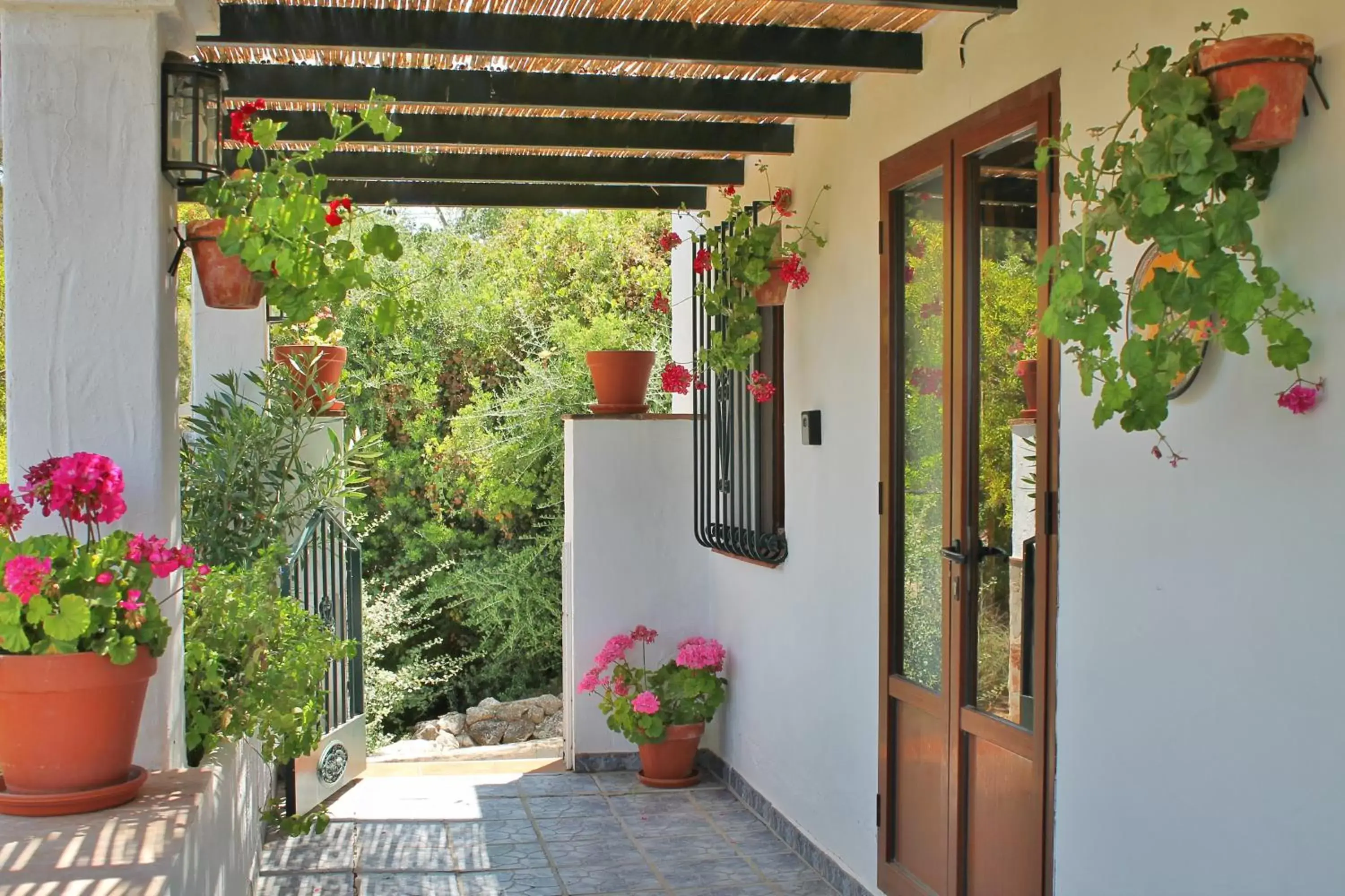 Patio in Casas Rurales Los Algarrobales