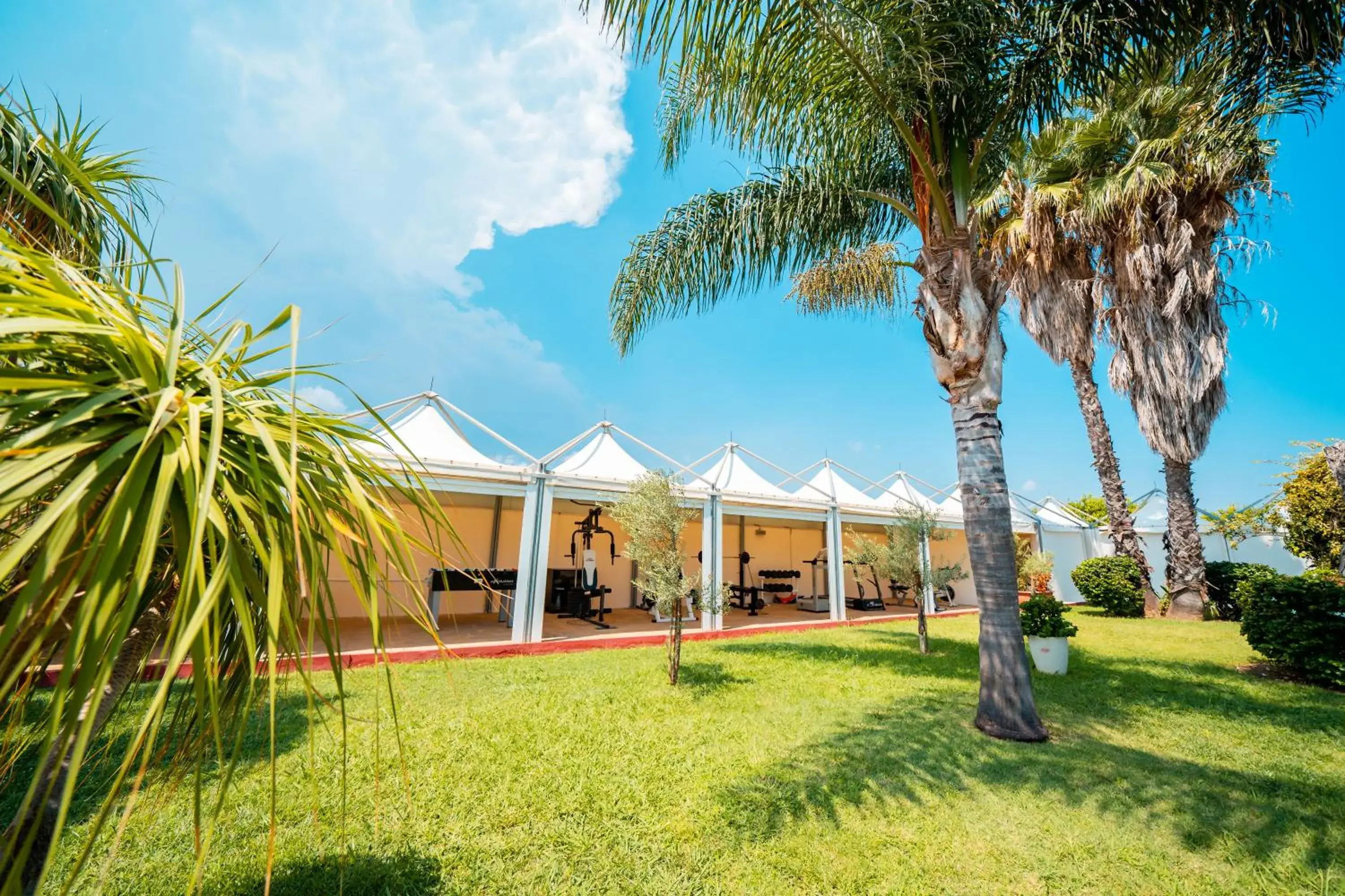 Fitness centre/facilities in Albatros Hotel Fitness centre/facilities in Albatros Hotel