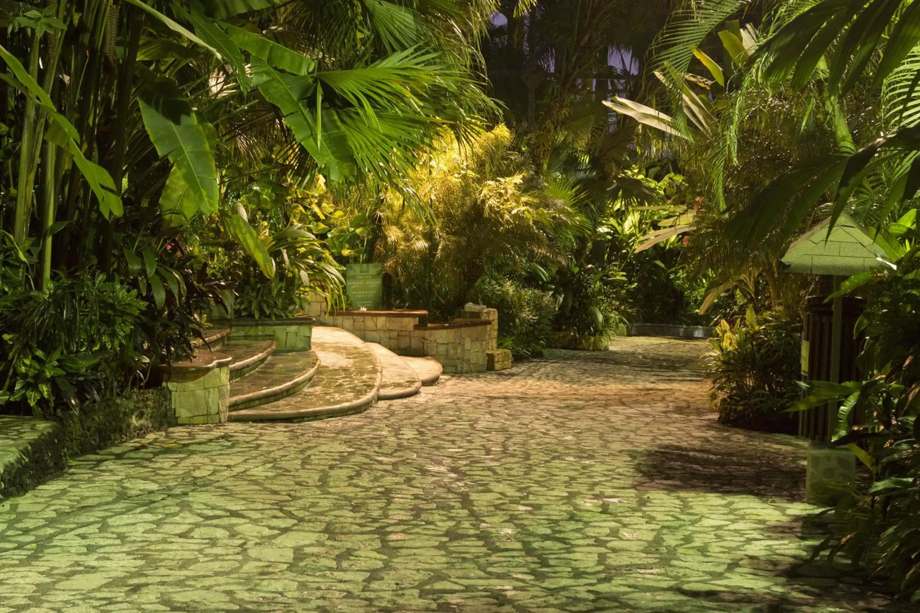 Patio, Garden in Baldi Hot Springs Hotel & Spa