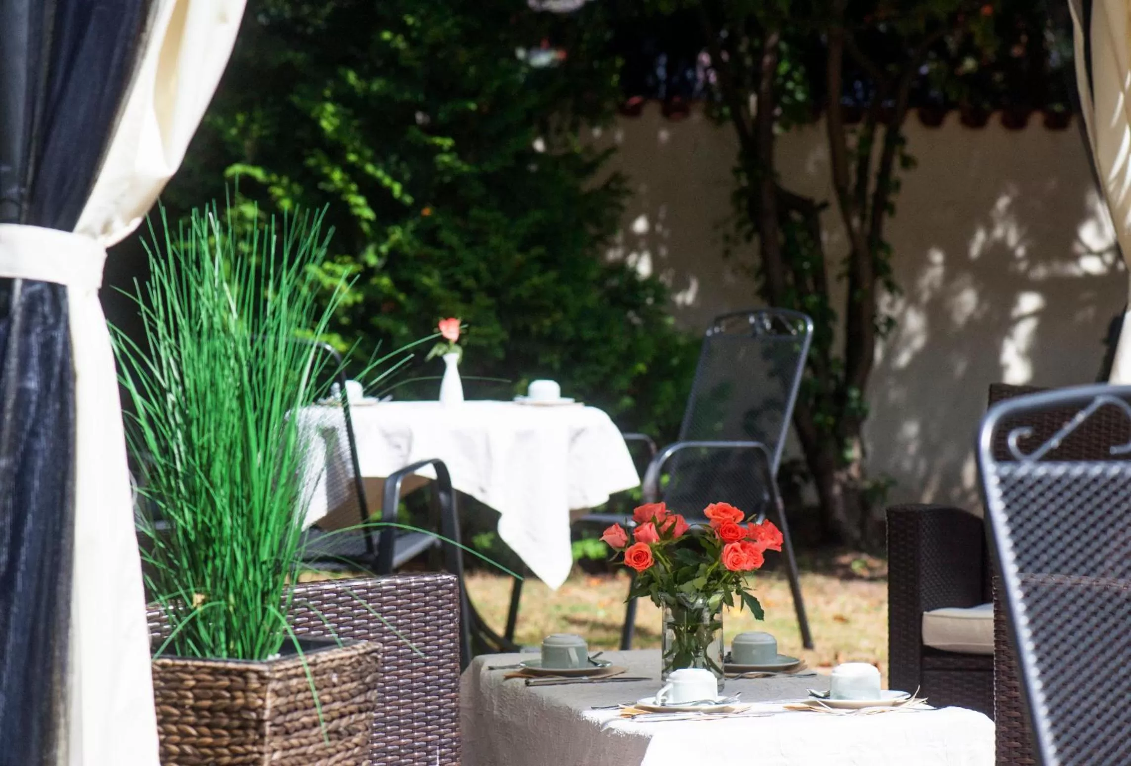 Restaurant/places to eat in Residenz Royal