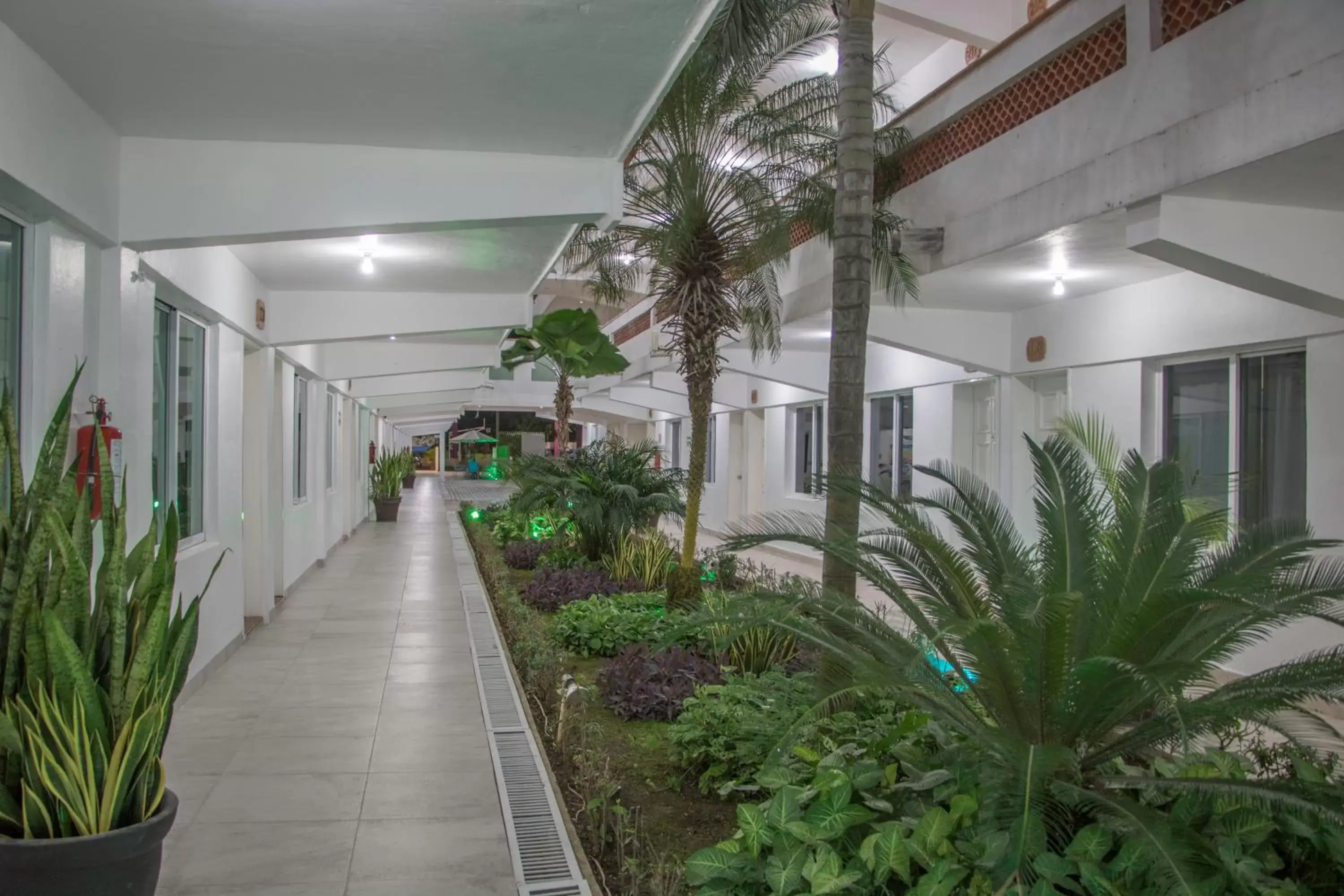 Garden view in Hotel Casa Blanca