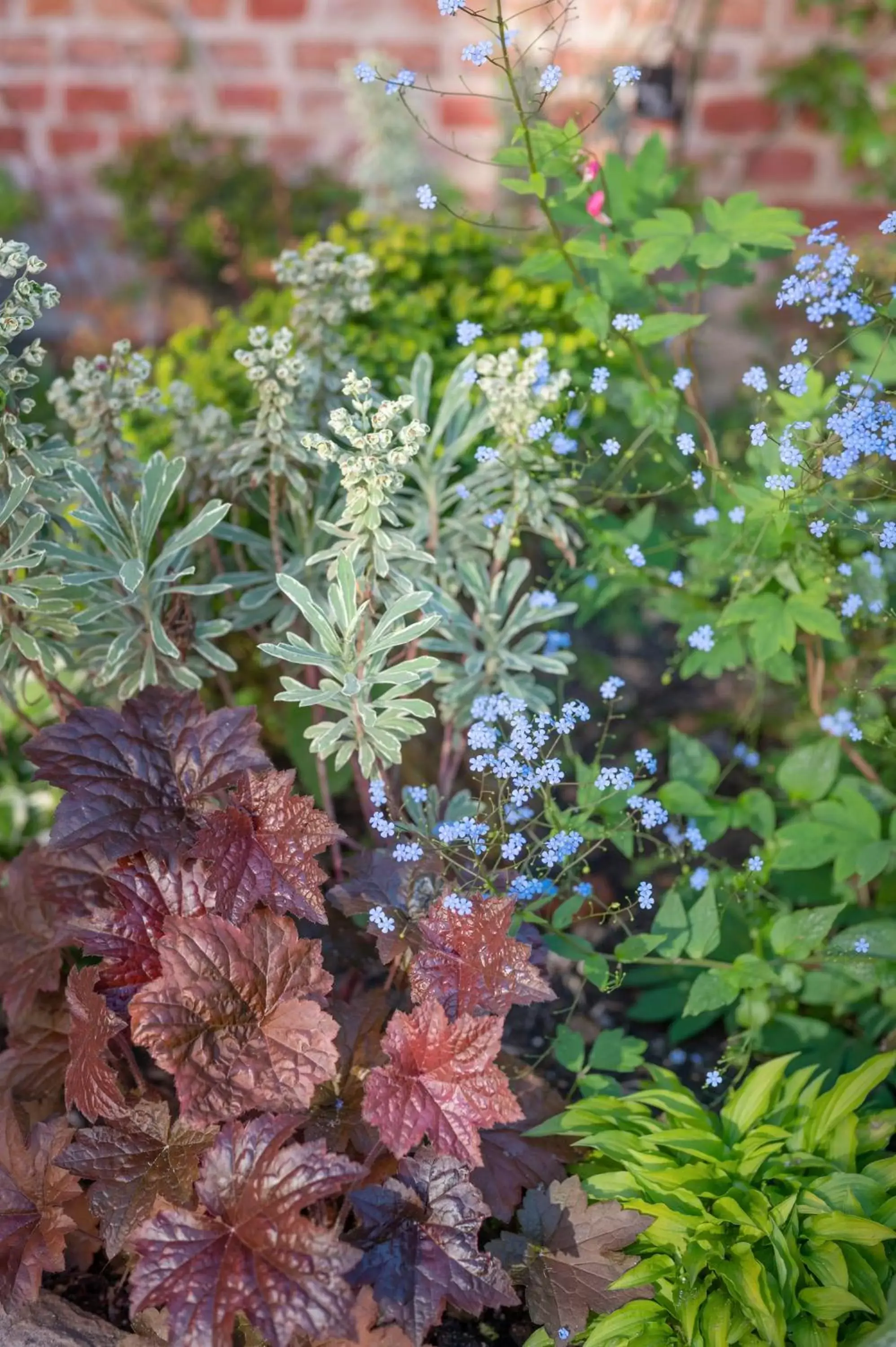 Garden in les Myrrhophores et Spa, Chambres d'Hôtes et Gîtes de charme