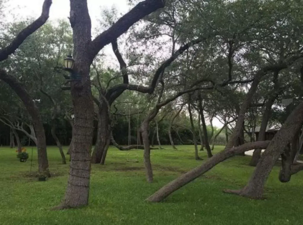 View (from property/room) in Live Oaks Bed and Breakfast