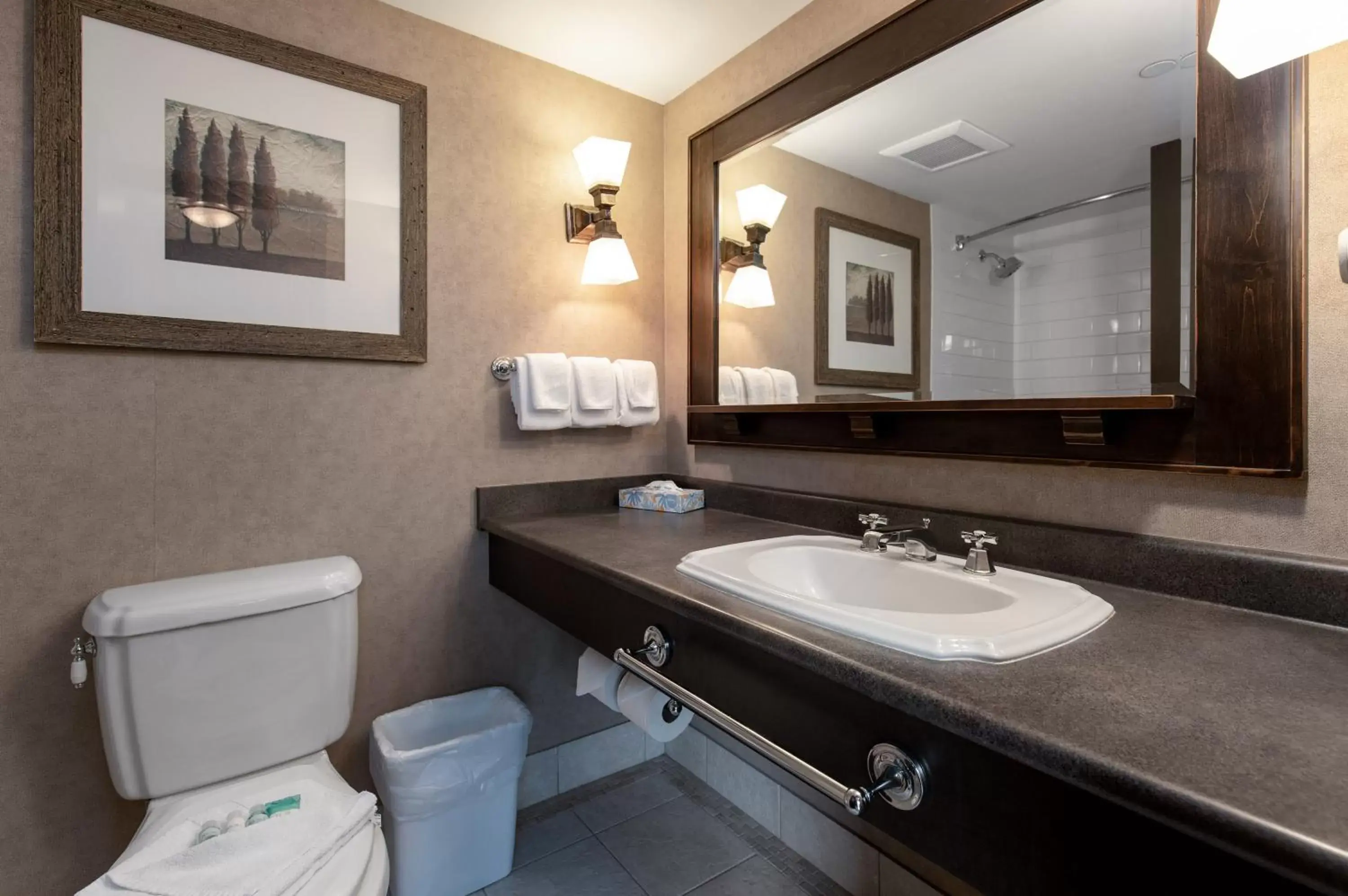 Bathroom in Blackcomb Lodge