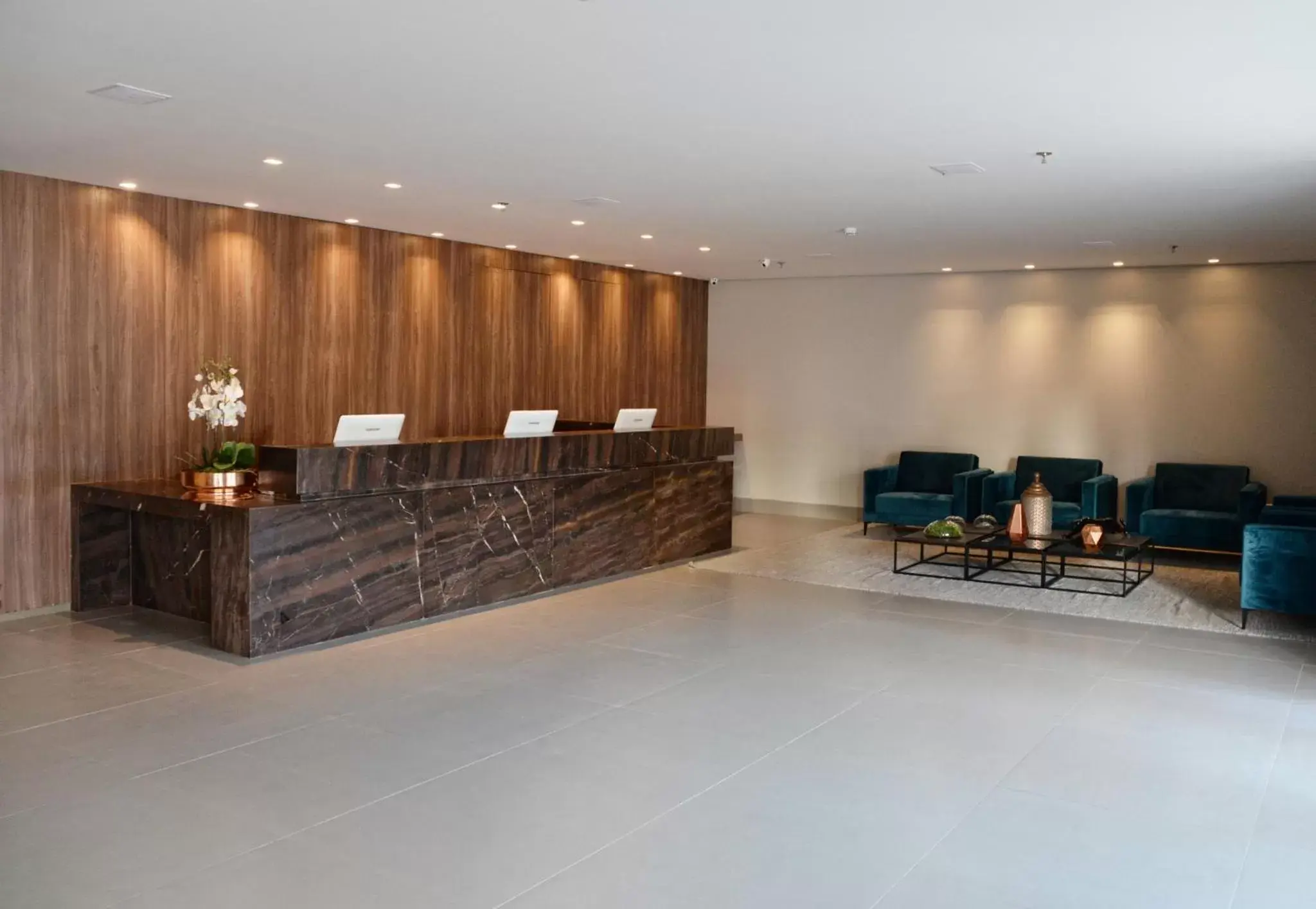 Lobby or reception, Lobby/Reception in Dubai Suites