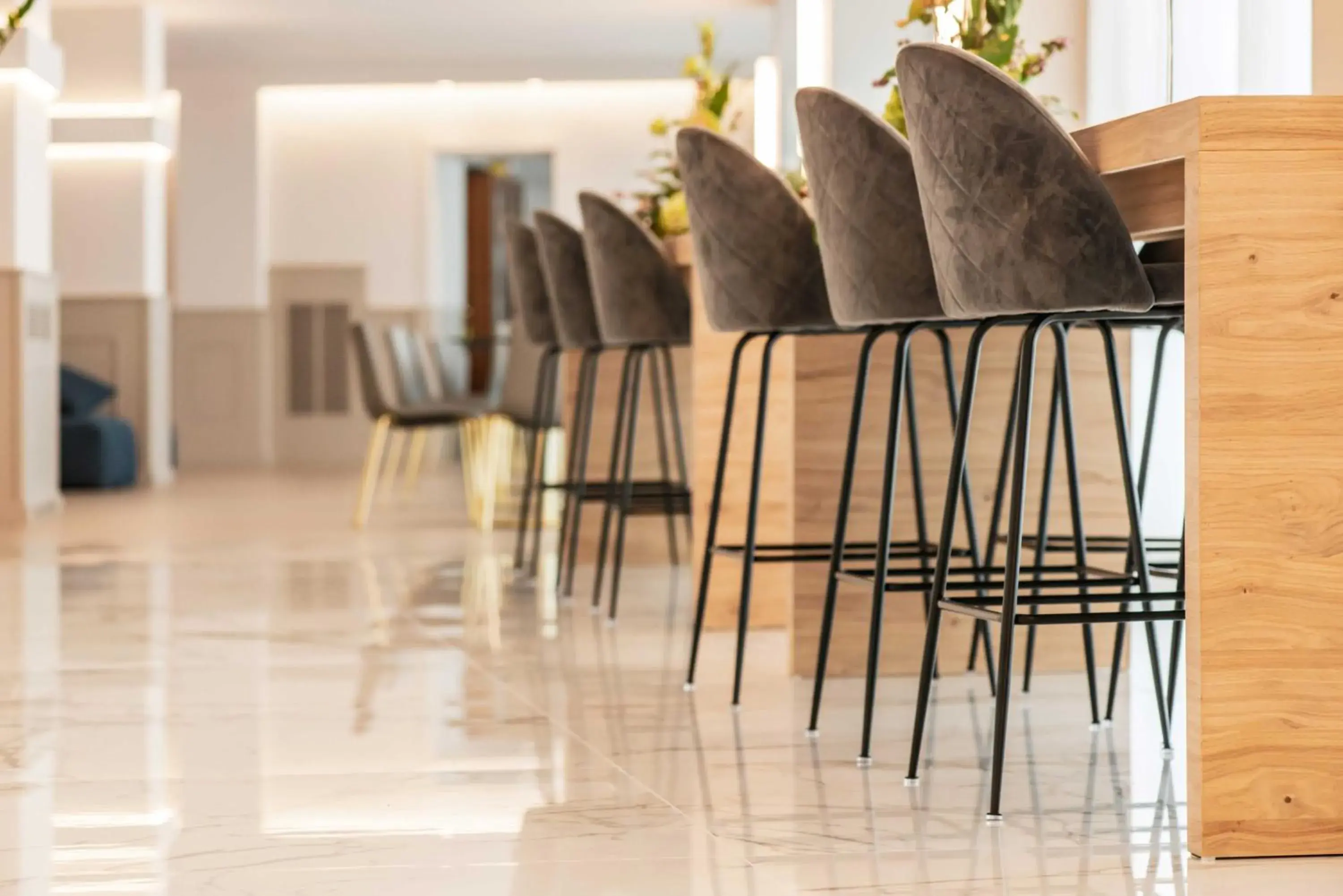 Lounge or bar in Phi Hotel Cavalieri Lounge or bar in Phi Hotel Cavalieri