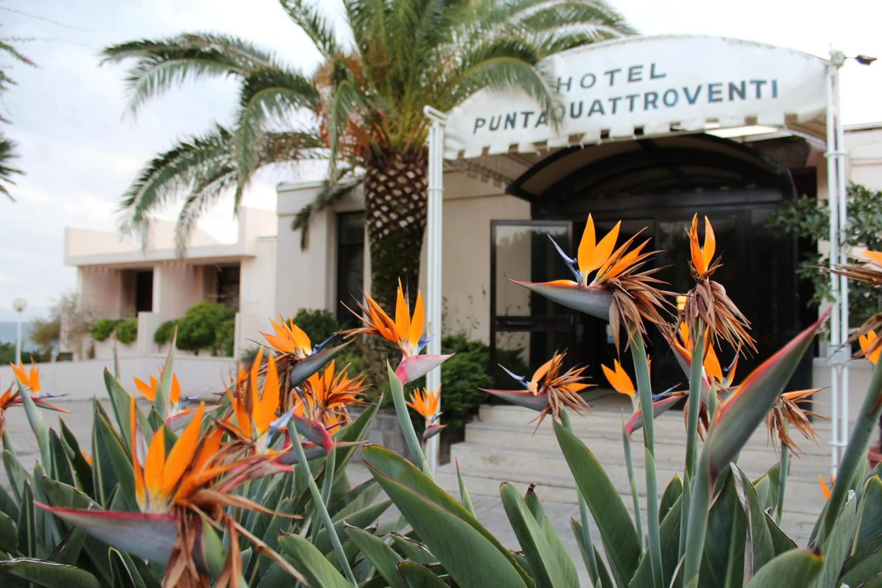 Facade/entrance in Puntaquattroventi