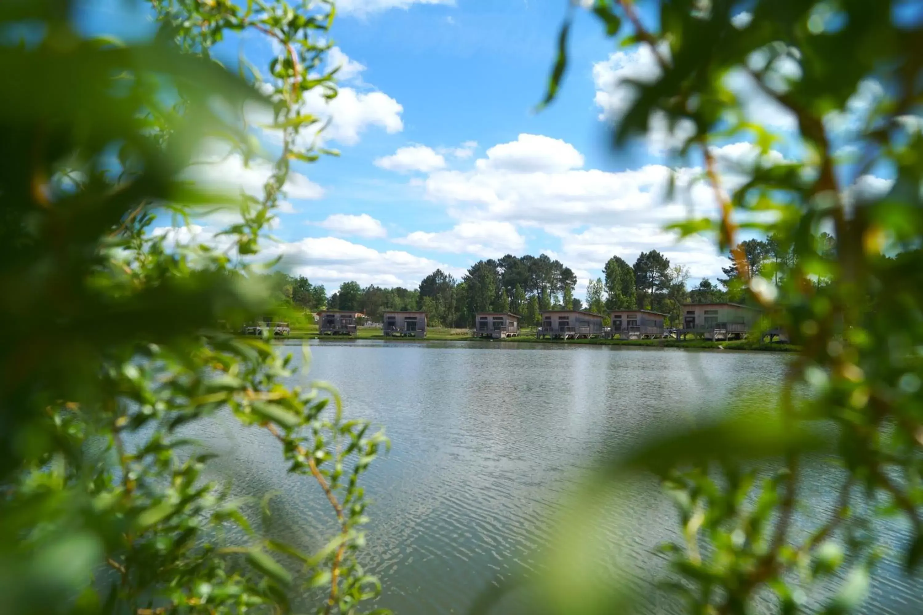 Lake View in EcoLodges Les Carrelets - Golf des Graves et du Sauternais