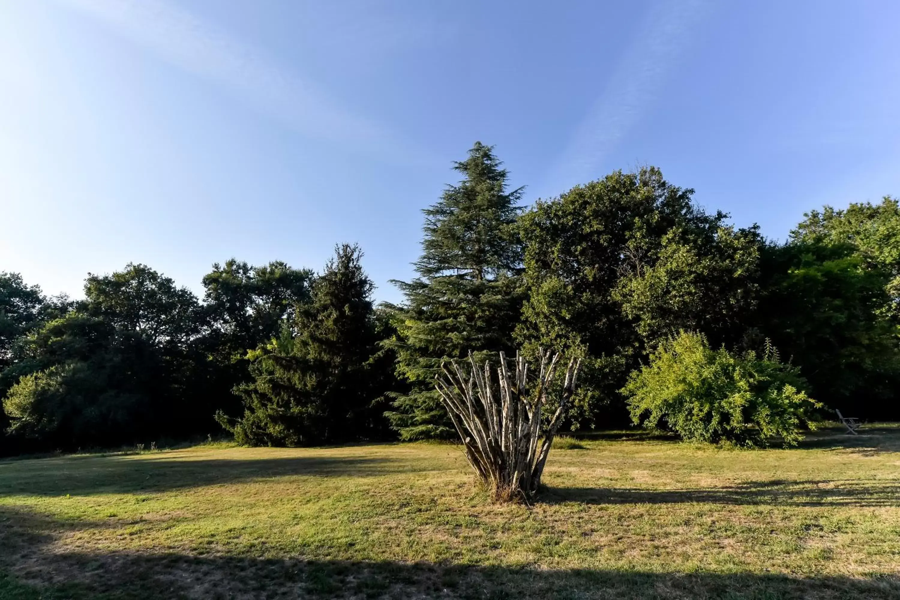 Garden view, Garden in Domaine verte vallée