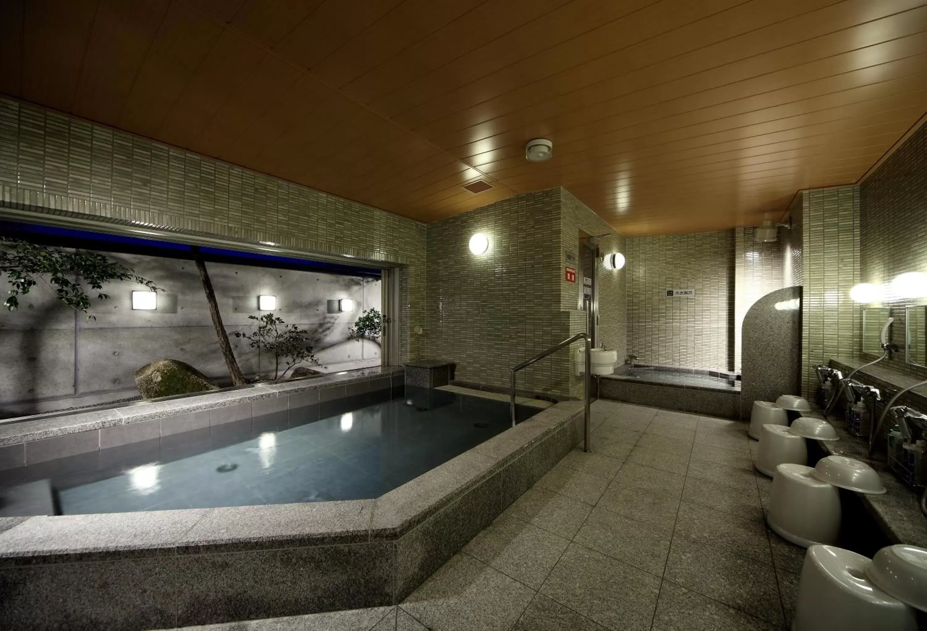 Bathroom, Swimming Pool in Tsuruga Manten Hotel Ekimae